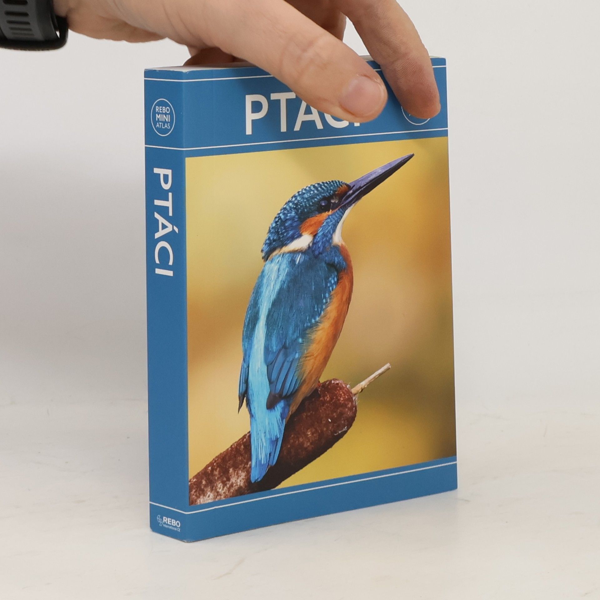 Ptáci