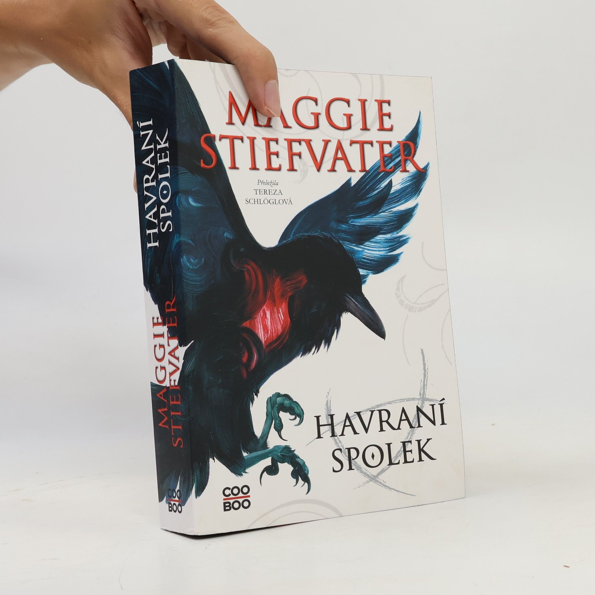 Maggie Stiefvater Havraní spolek