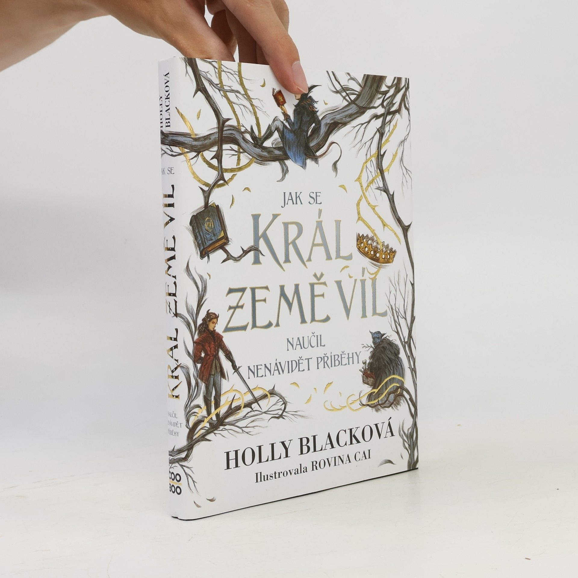 Holly Black Jak se král Země víl naučil nenávidět příběhy