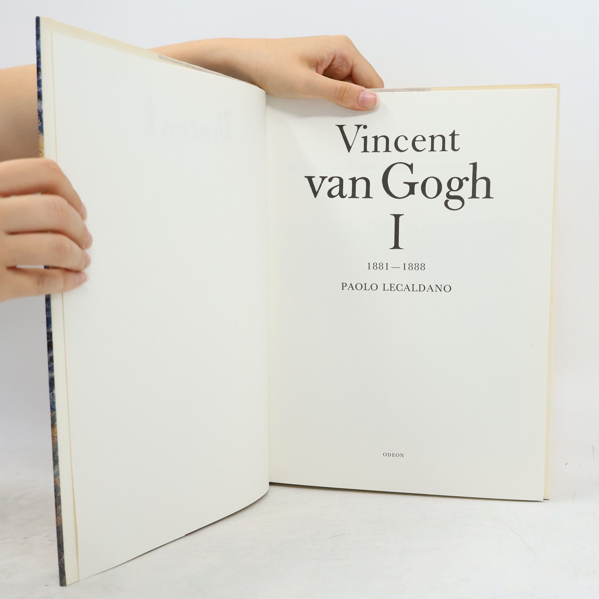 Paolo Lecaldano Vincent van Gogh I