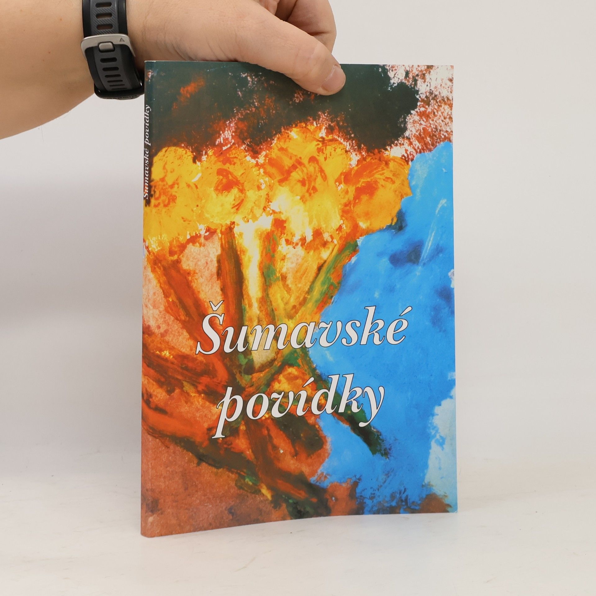 Autorenkollektiv Šumavské povídky