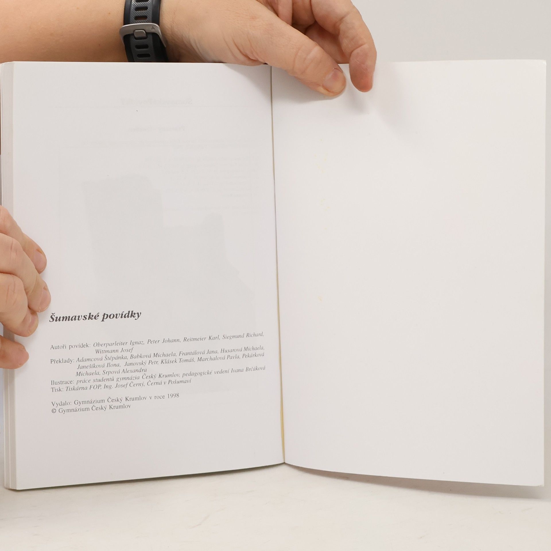 Autorenkollektiv Šumavské povídky