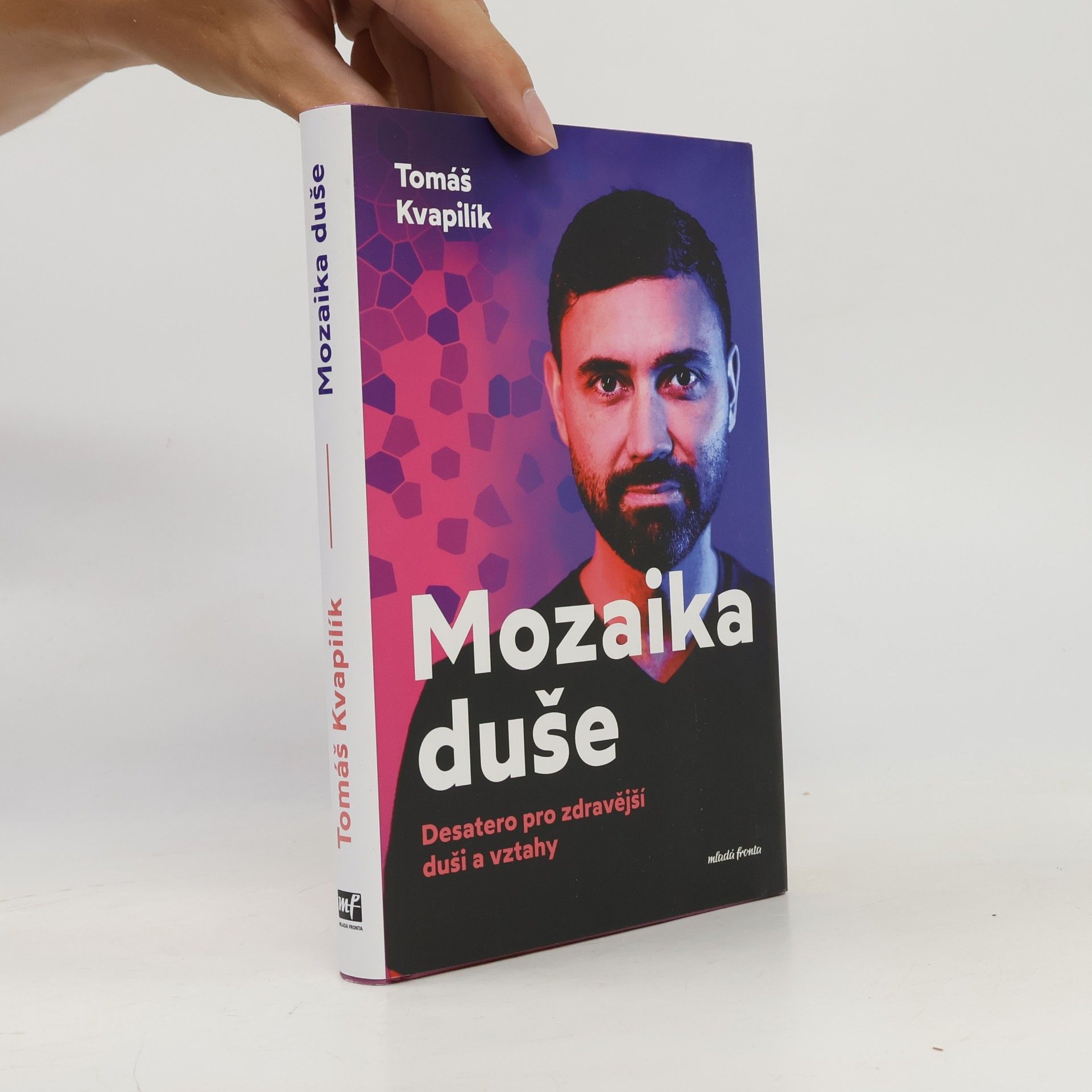 Tomáš Kvapilík Mozaika duše : desatero pro zdravější duši a vztahy