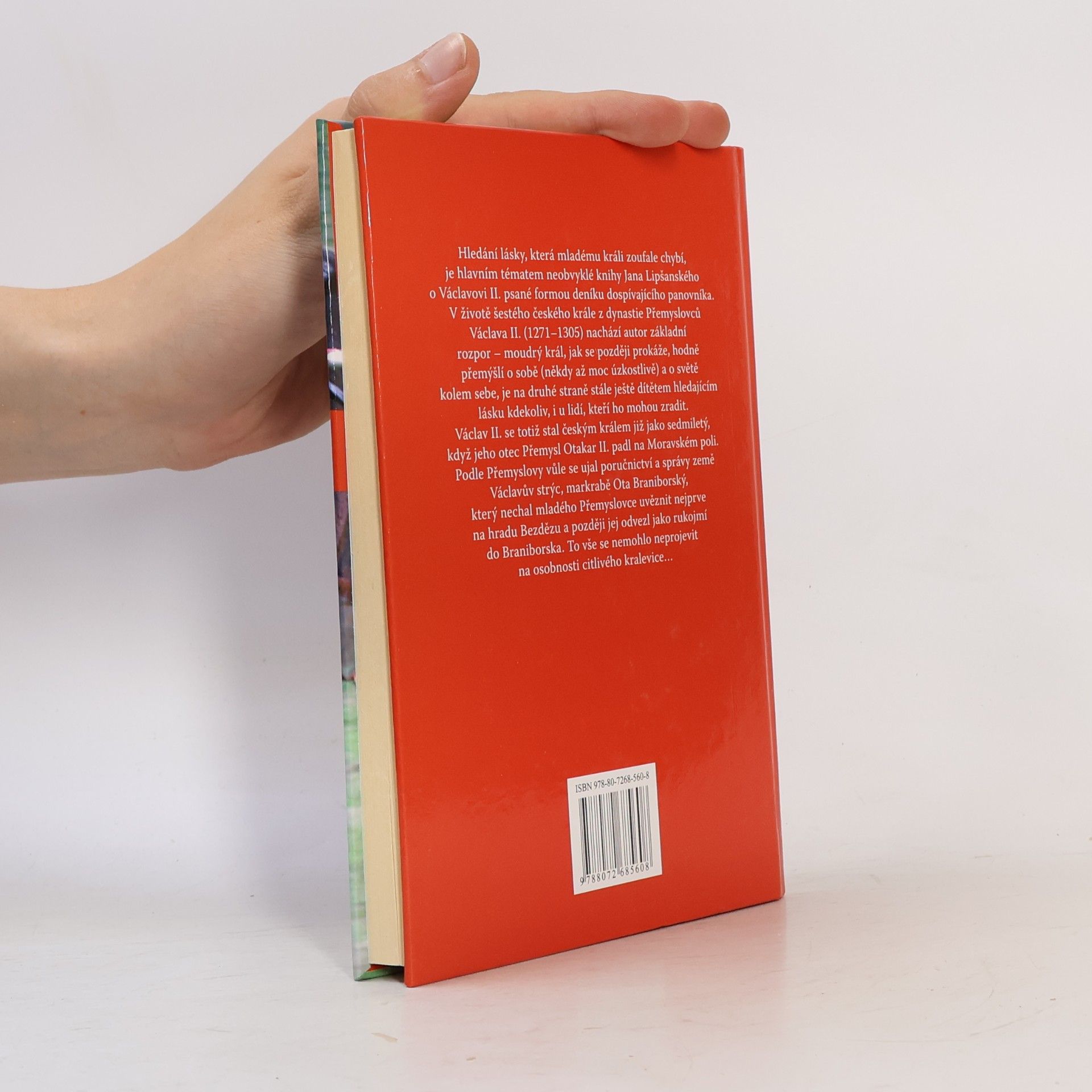 Jan Lipšanský Deník Václava II.