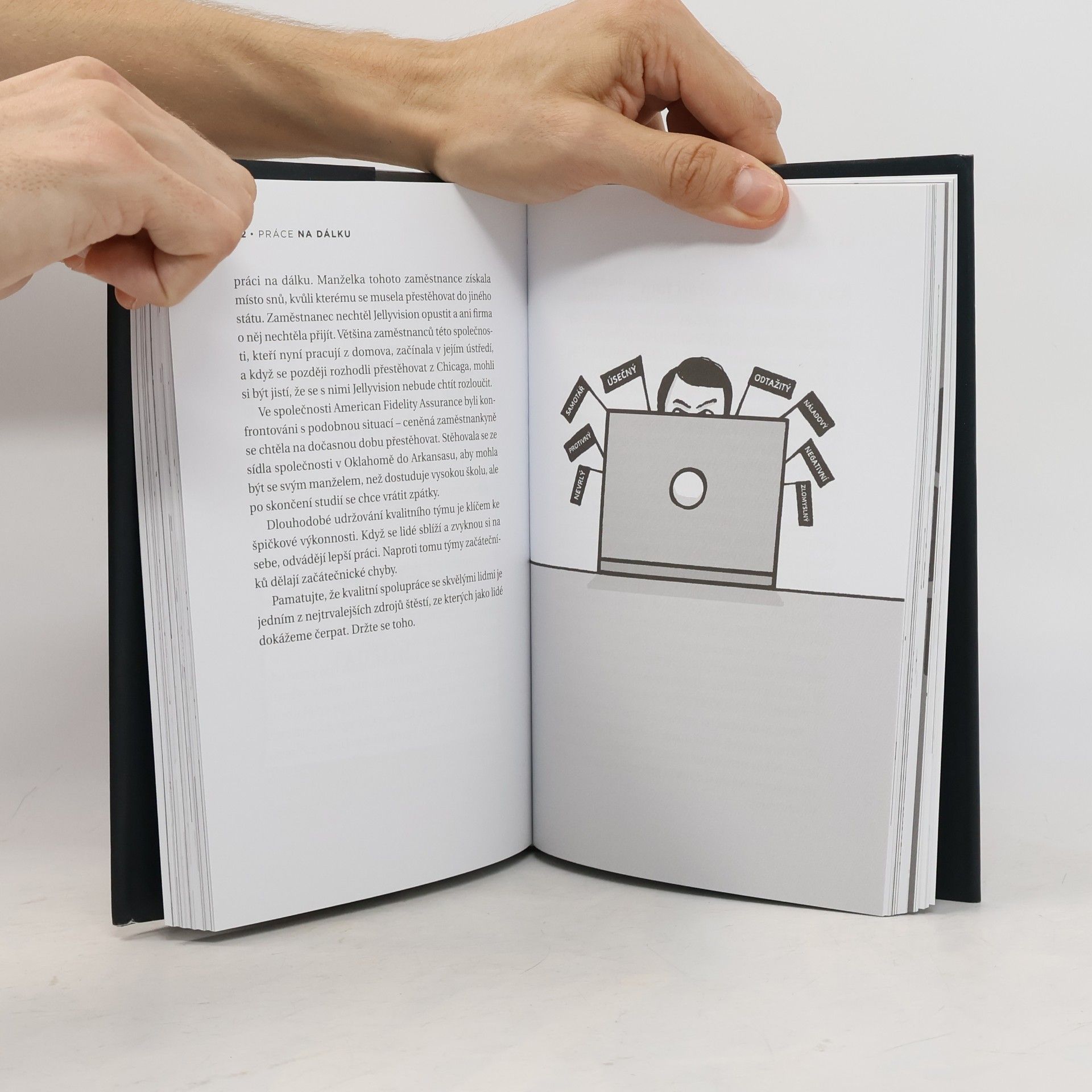 Jason Fried Práce na dálku