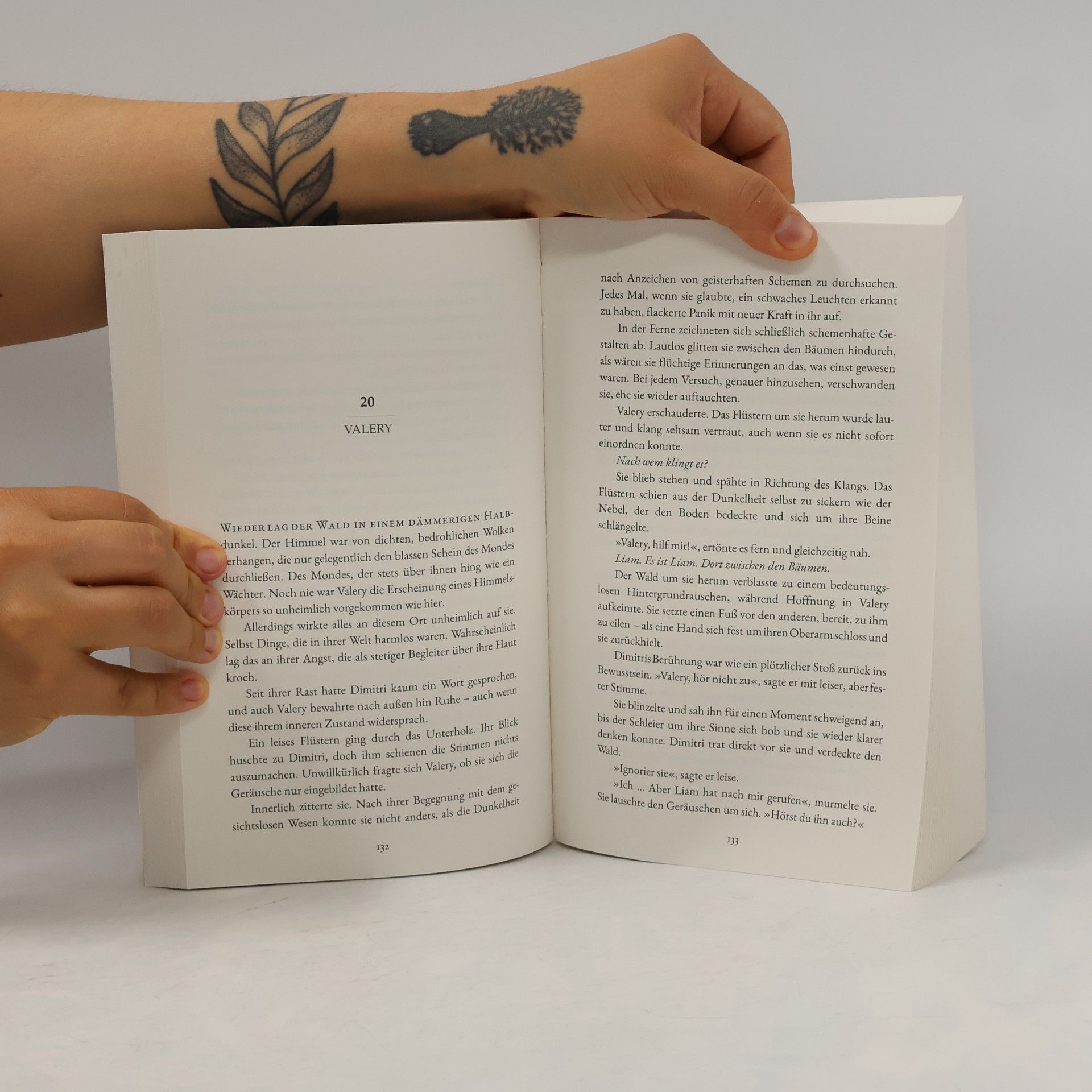 Kristina Quills Seher Saga - 3: Die Rache der Seher