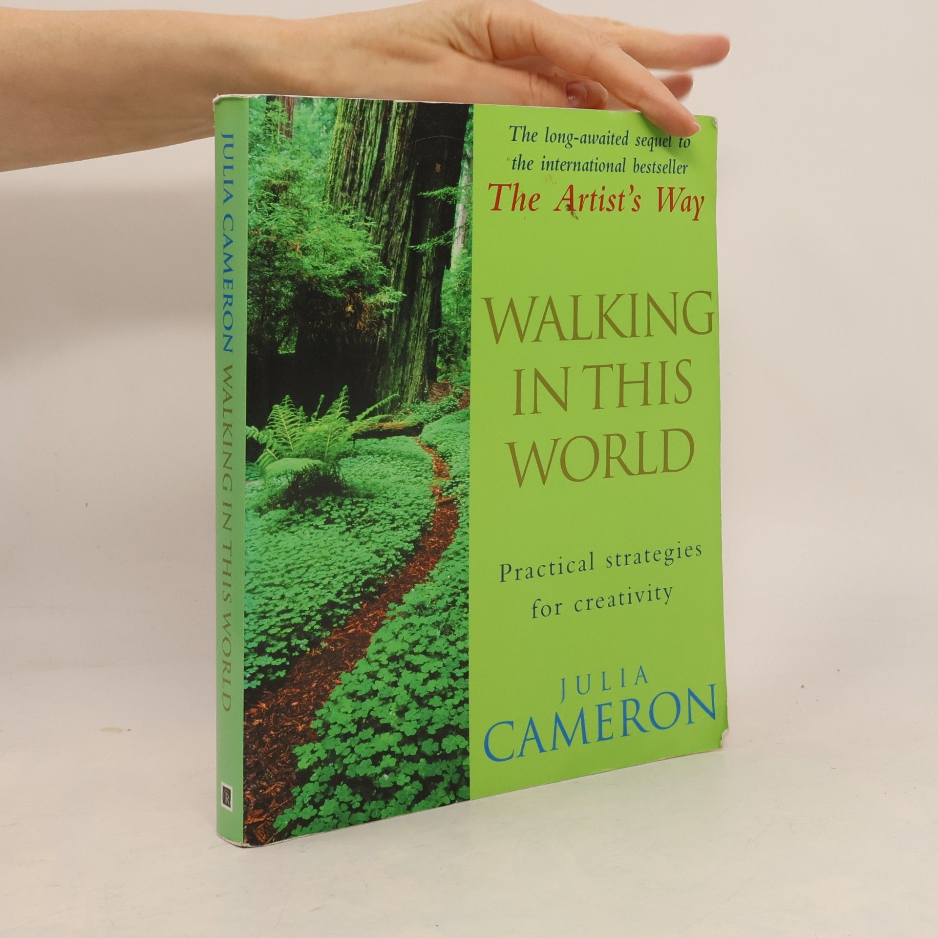 Julia Cameron Walking in this World