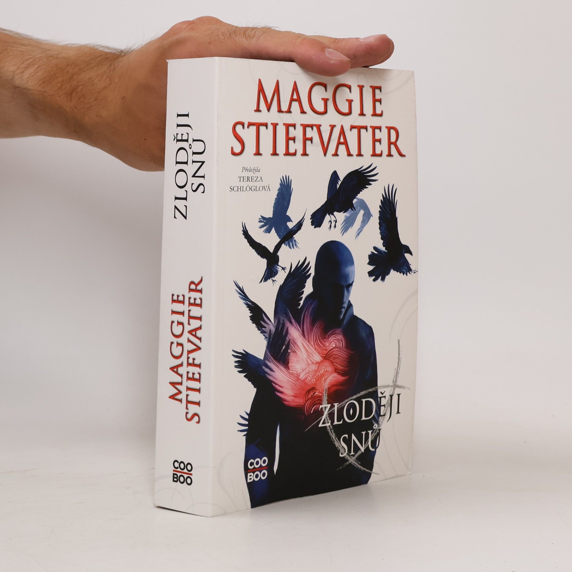 Maggie Stiefvater Zloději snů