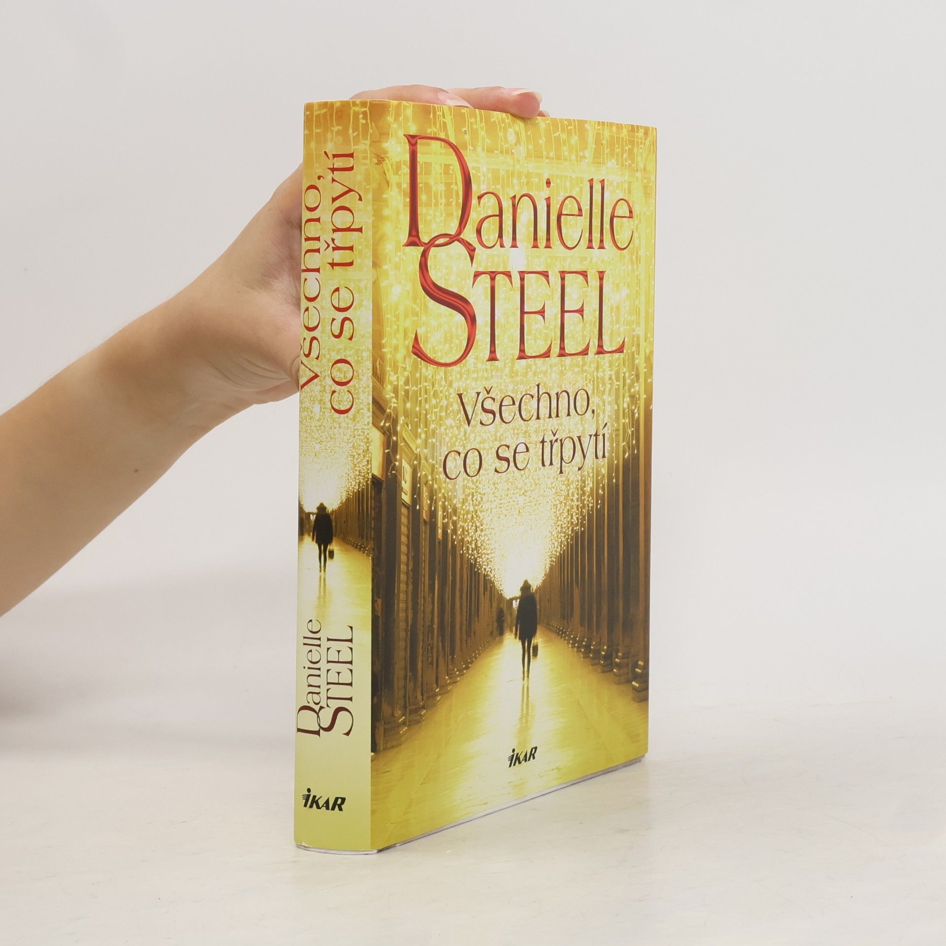 Danielle Steel Všechno, co se třpytí