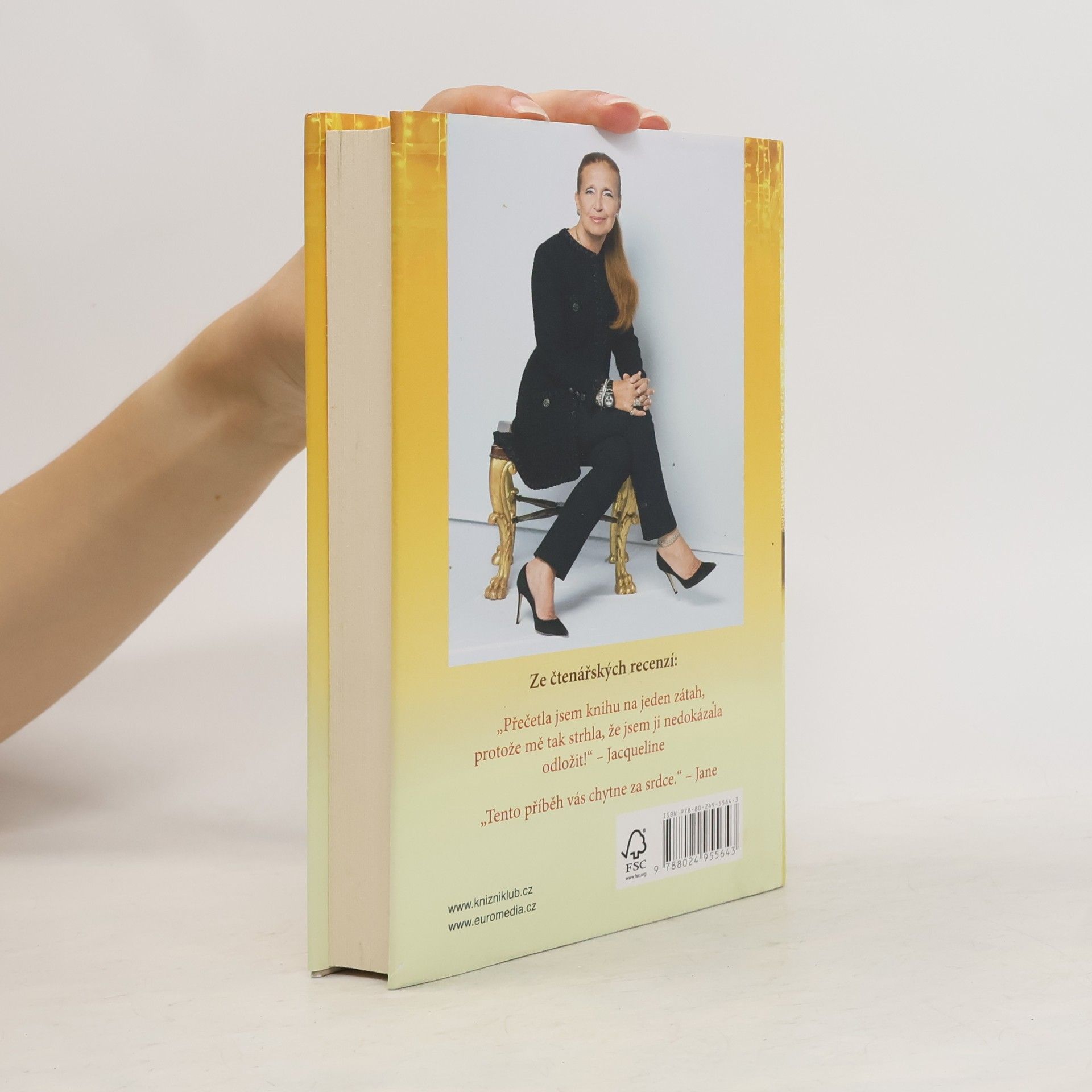 Danielle Steel Všechno, co se třpytí