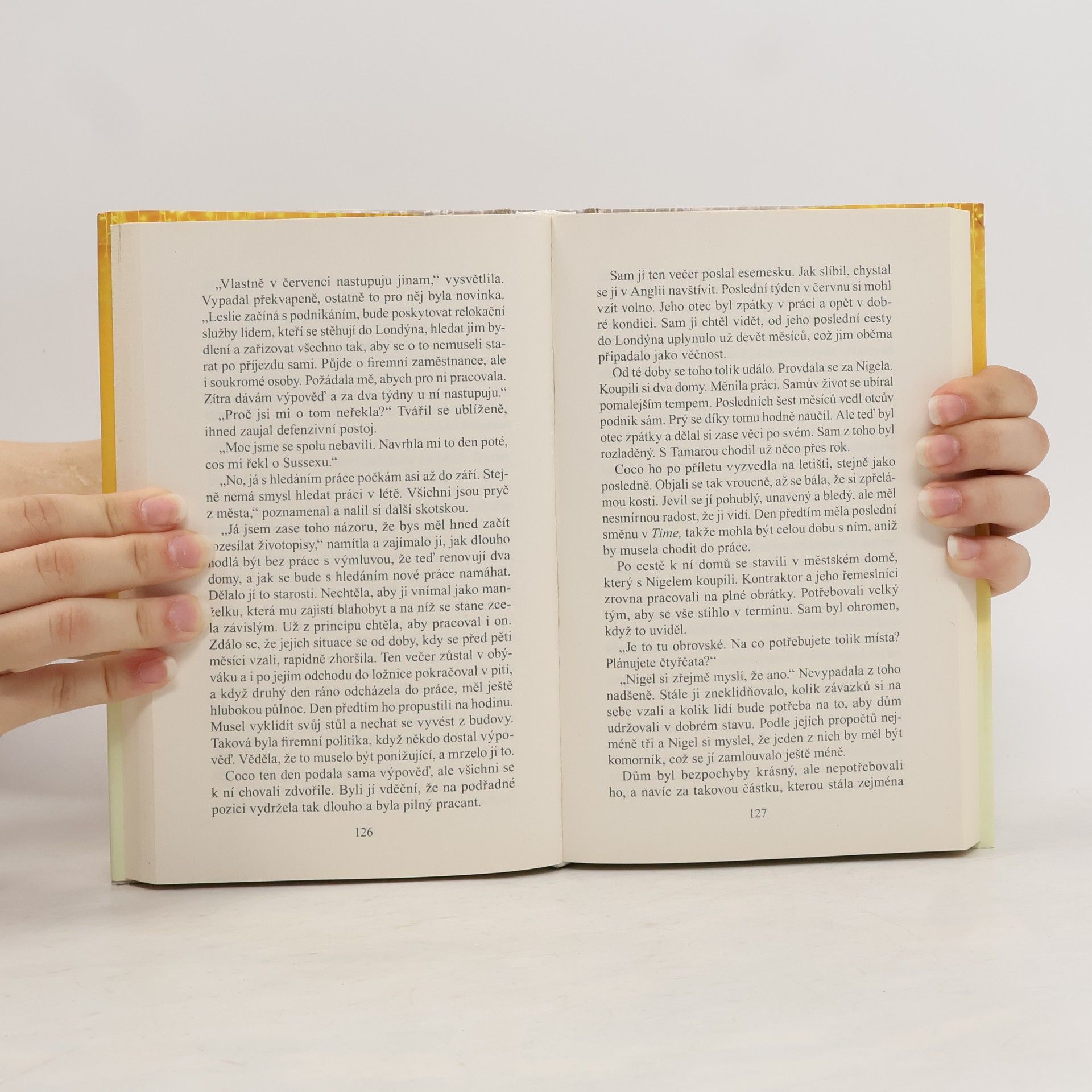 Danielle Steel Všechno, co se třpytí