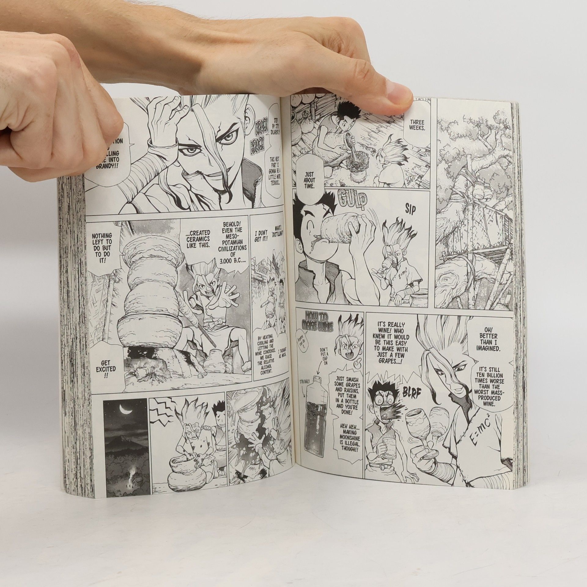 Riichiro Inagaki Dr. Stone