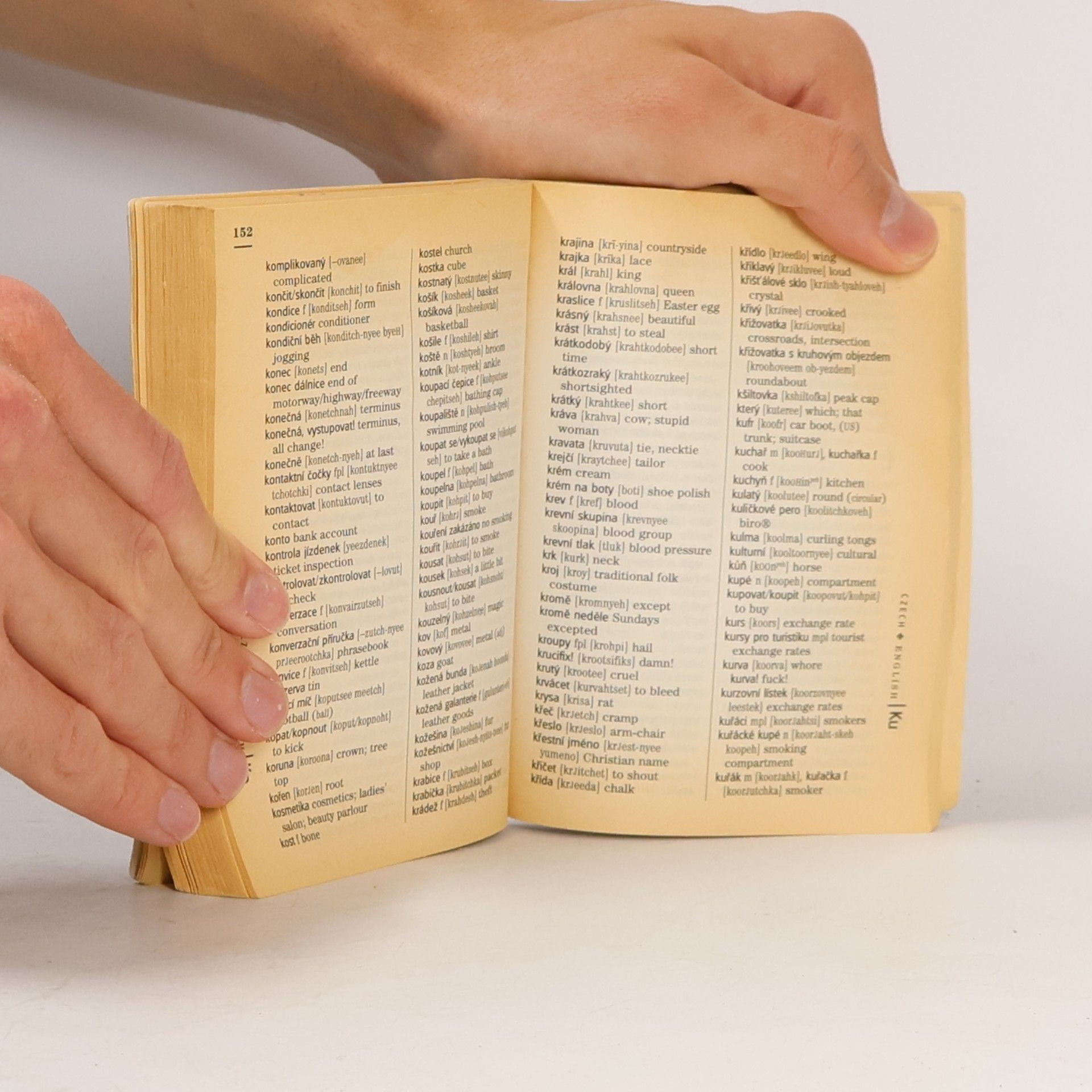 Václav Řeřicha Czech : A Rough Guide Phrasebook