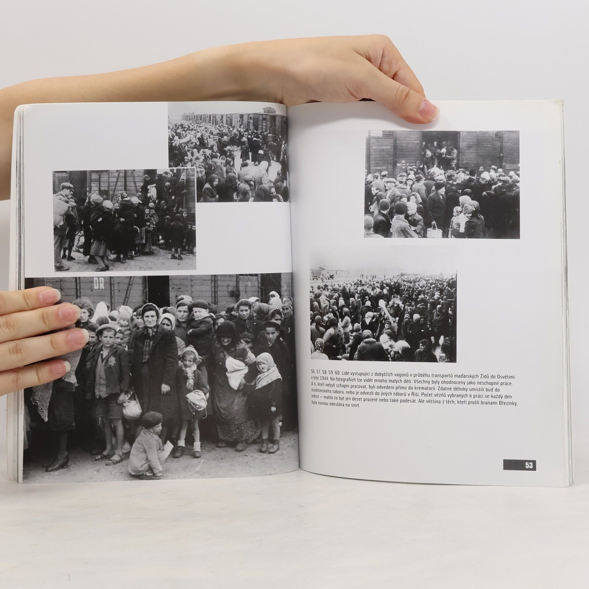 Ian Baxter Tábor smrti Osvětim : unikátní fotografie z válečných archivů