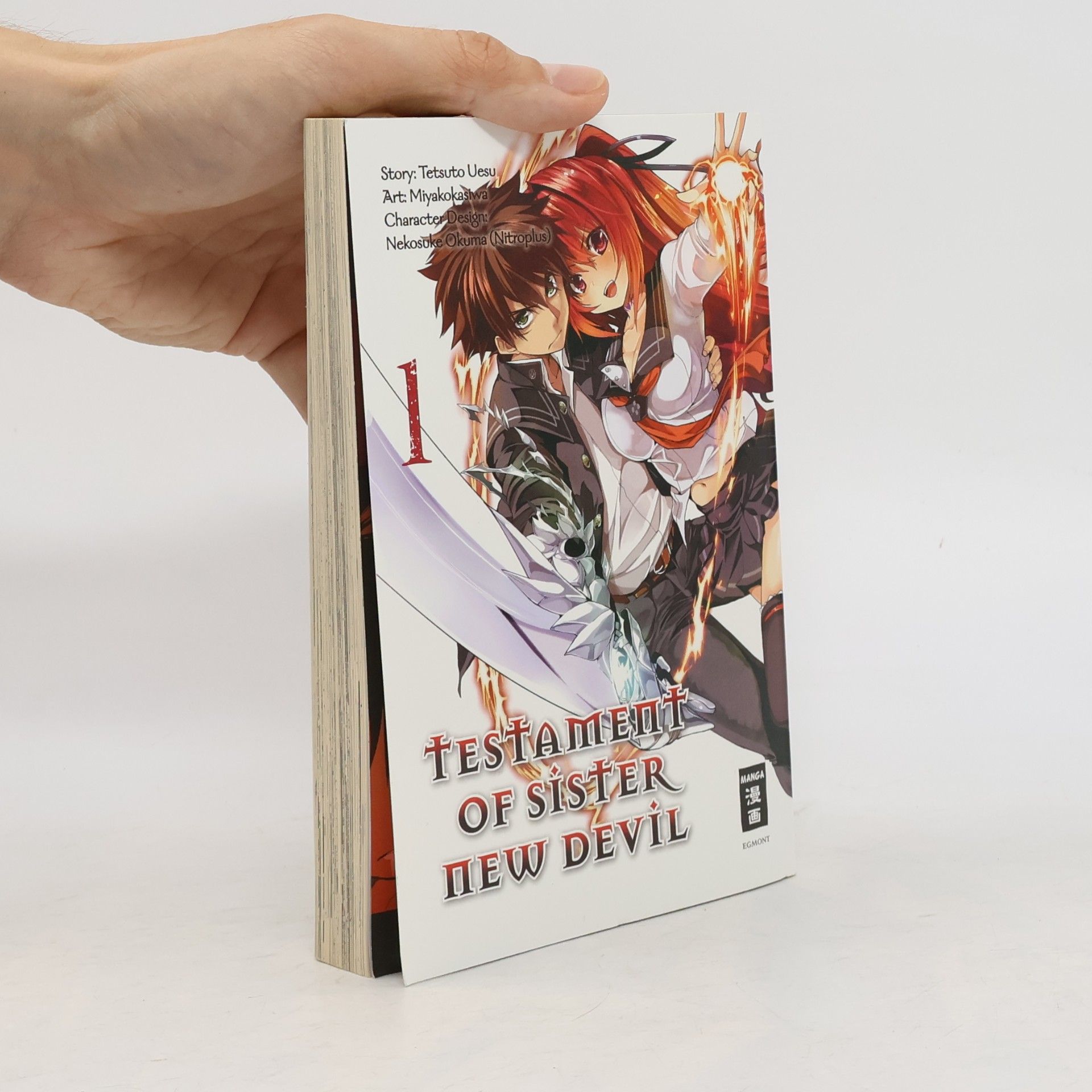 Nekosuke Okuma Testament of Sister New Devil. Bd.1