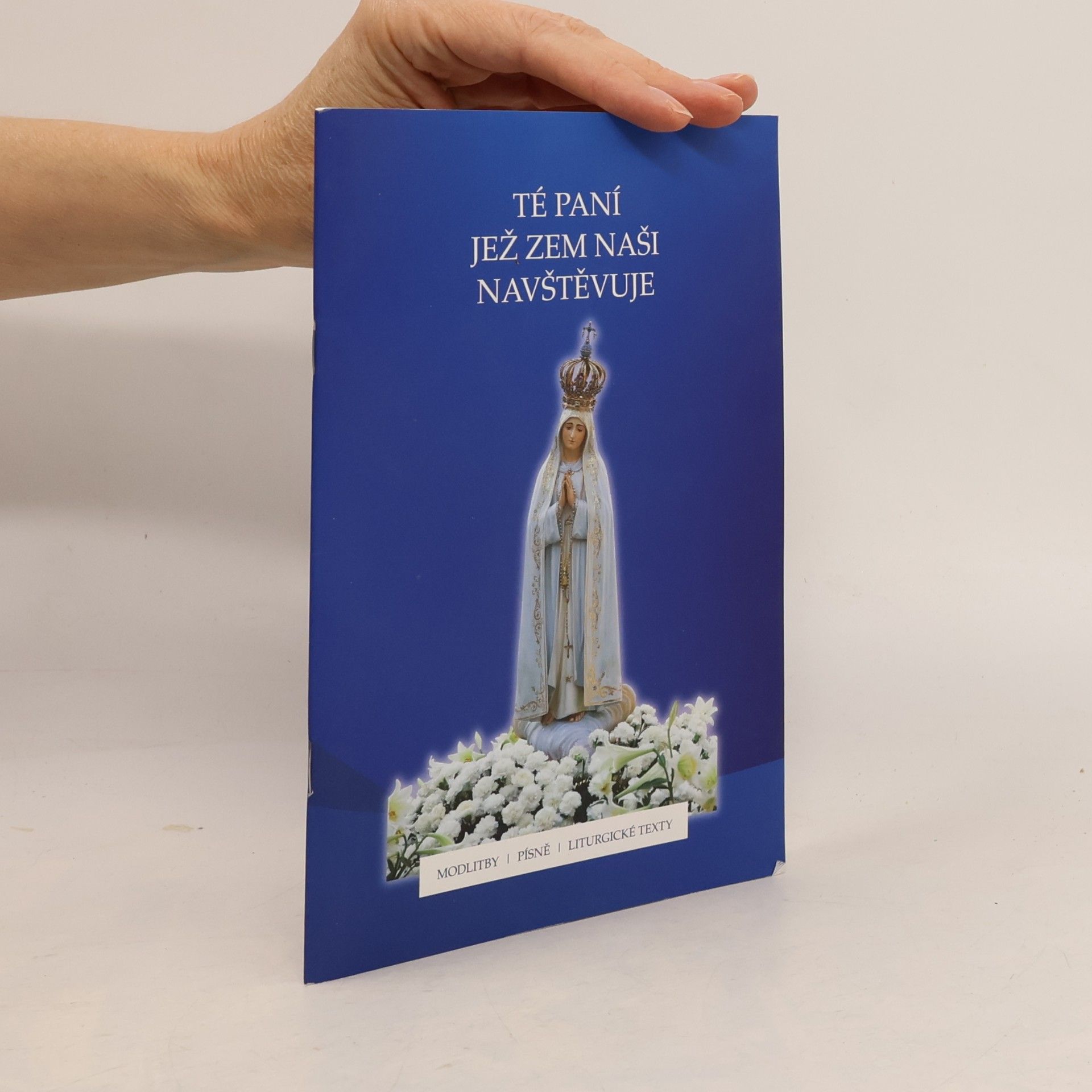 Autorenkollektiv Té Paní, jež zem naši navštěvuje