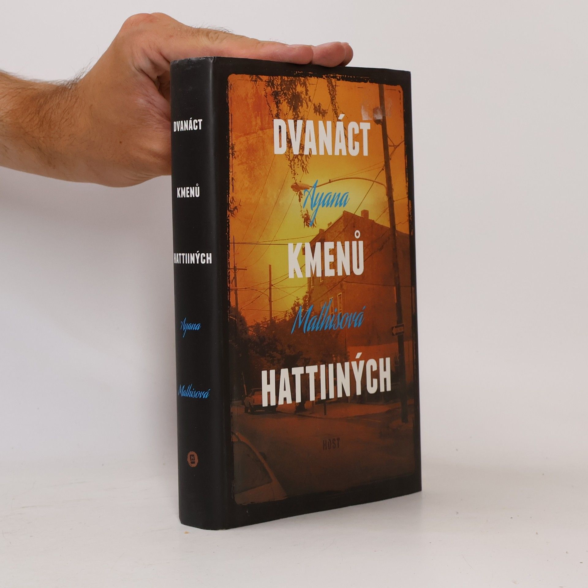 Ayana Mathis Dvanáct kmenů Hattiiných