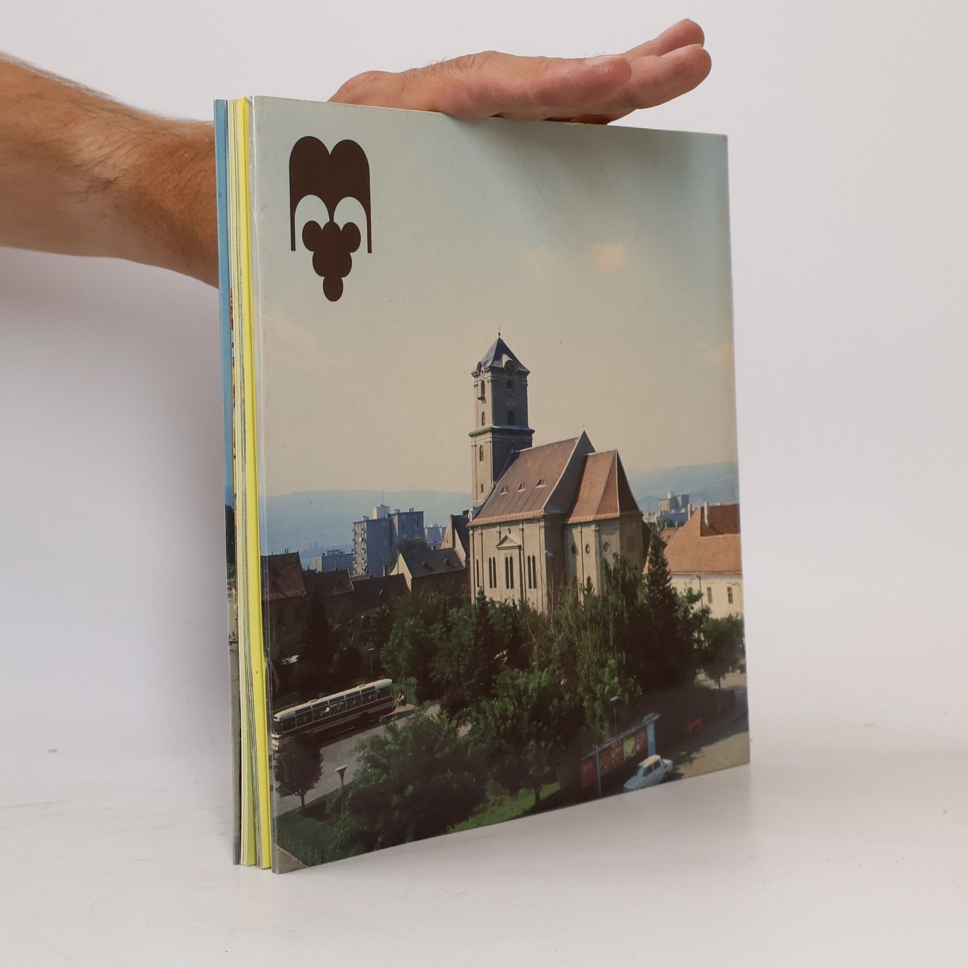 Autorenkollektiv Malokarpatské Múzeum Pezinok. Sprievodca expozíciami
