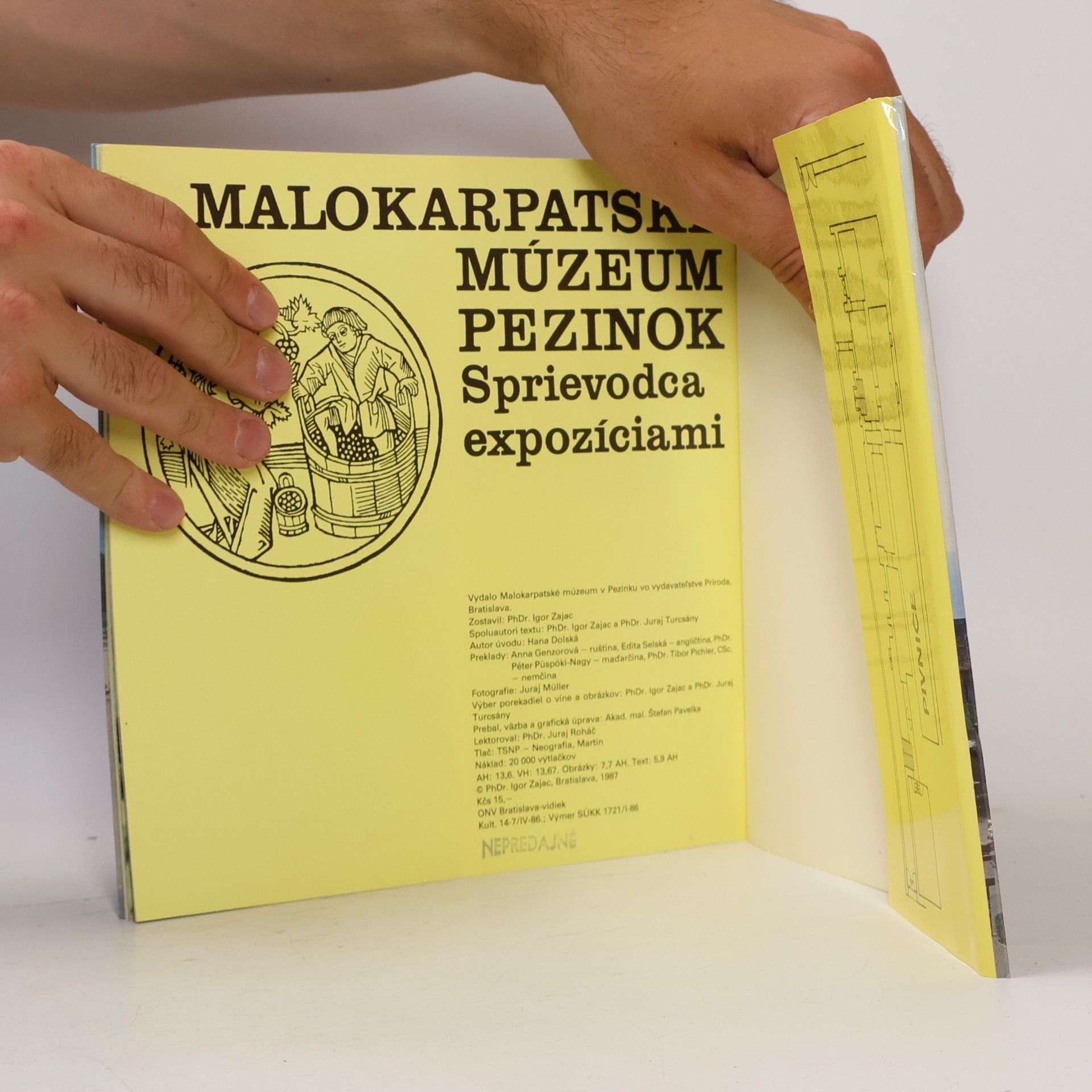 Autorenkollektiv Malokarpatské Múzeum Pezinok. Sprievodca expozíciami