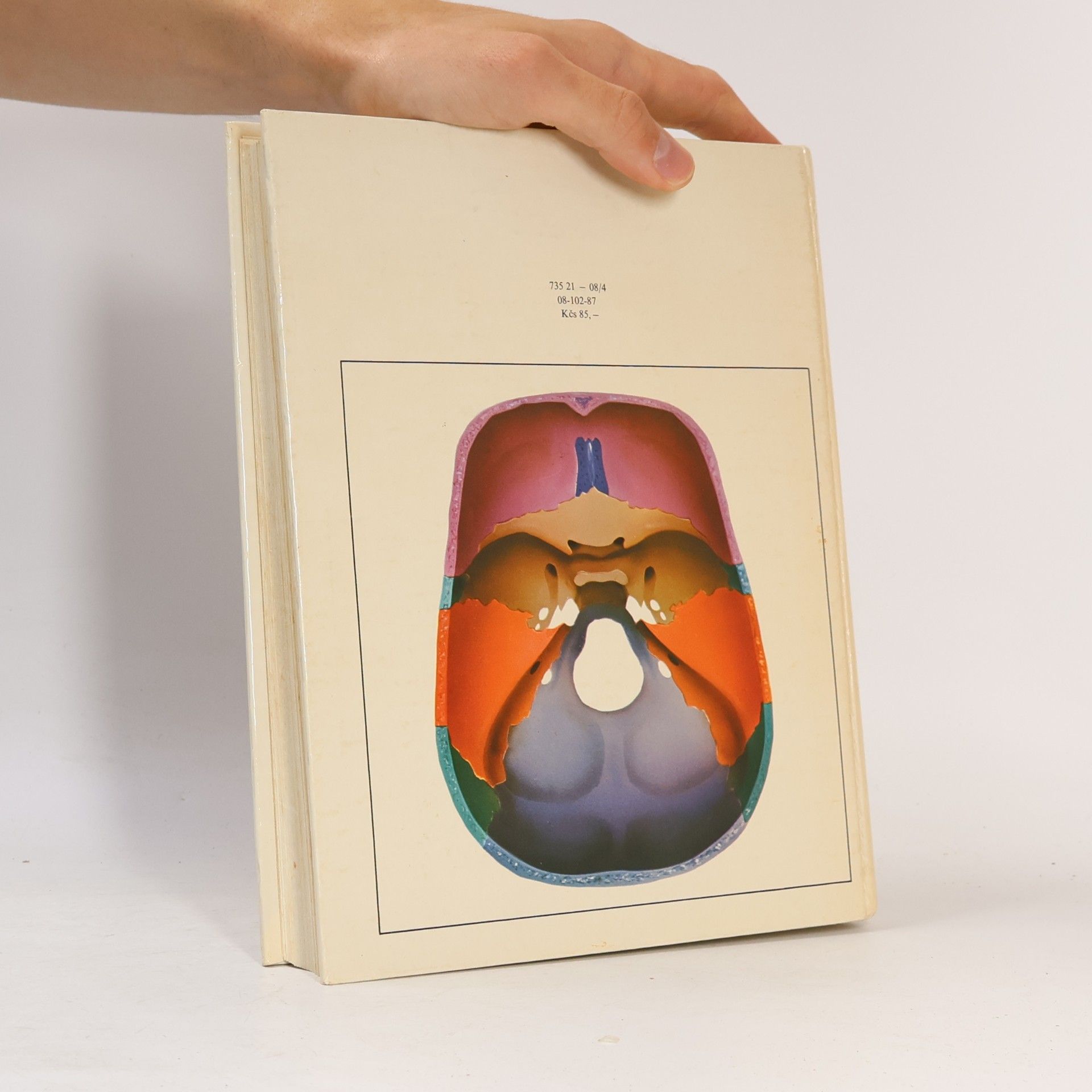 Radomír Čihák Anatomie 1