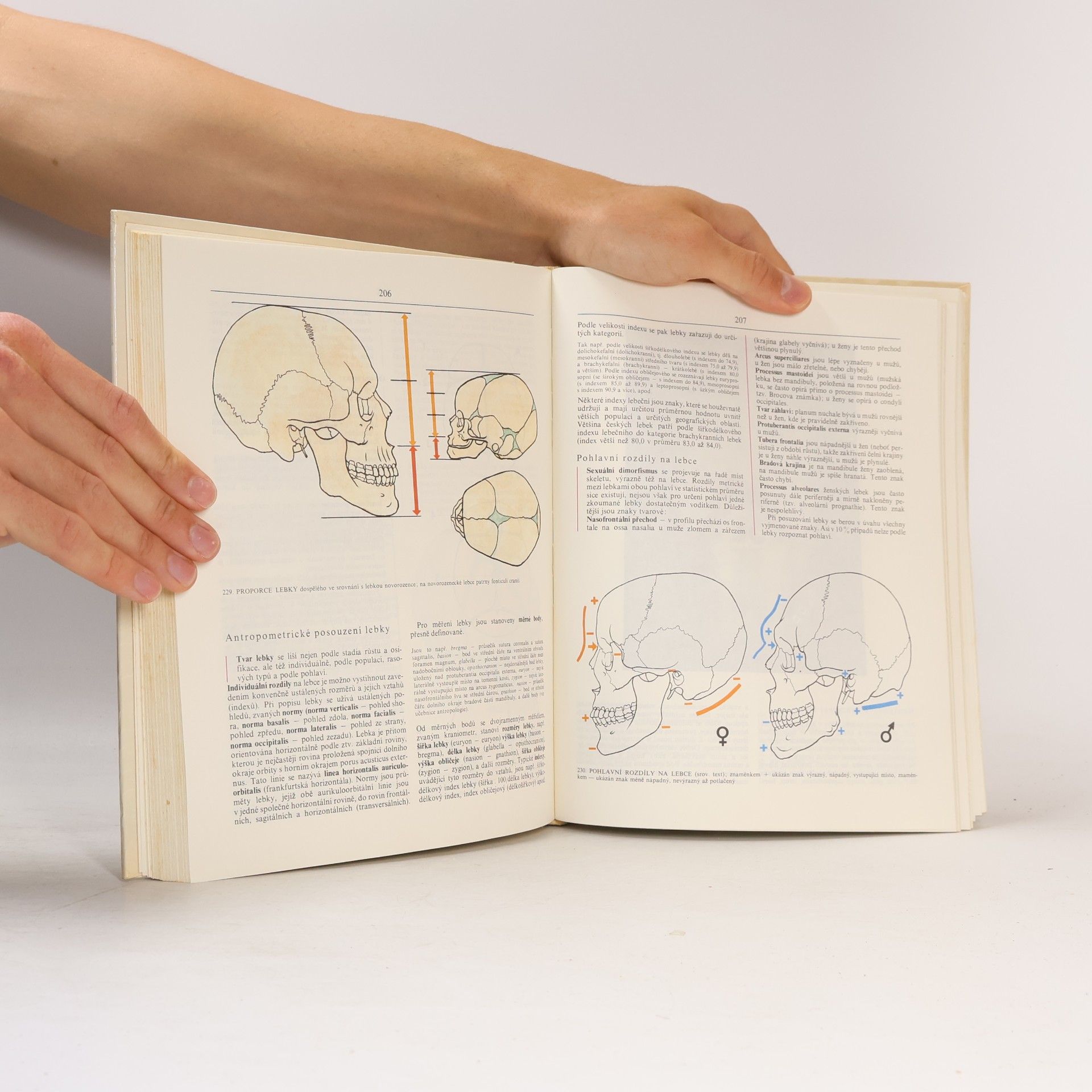 Radomír Čihák Anatomie 1
