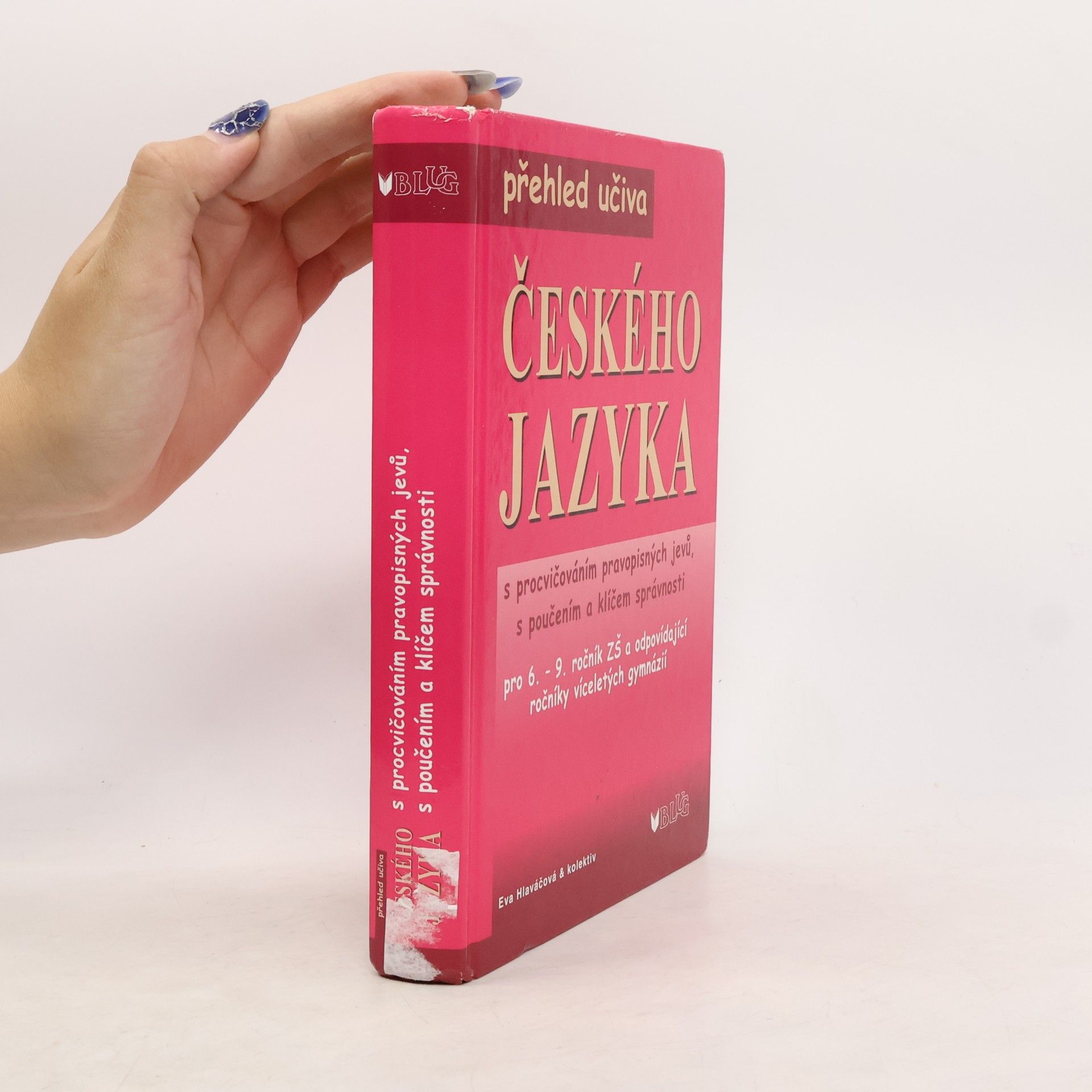Various authors Přehled učiva českého jazyka s procvičováním pravopisných jevů, s poučením a klíčem správnosti