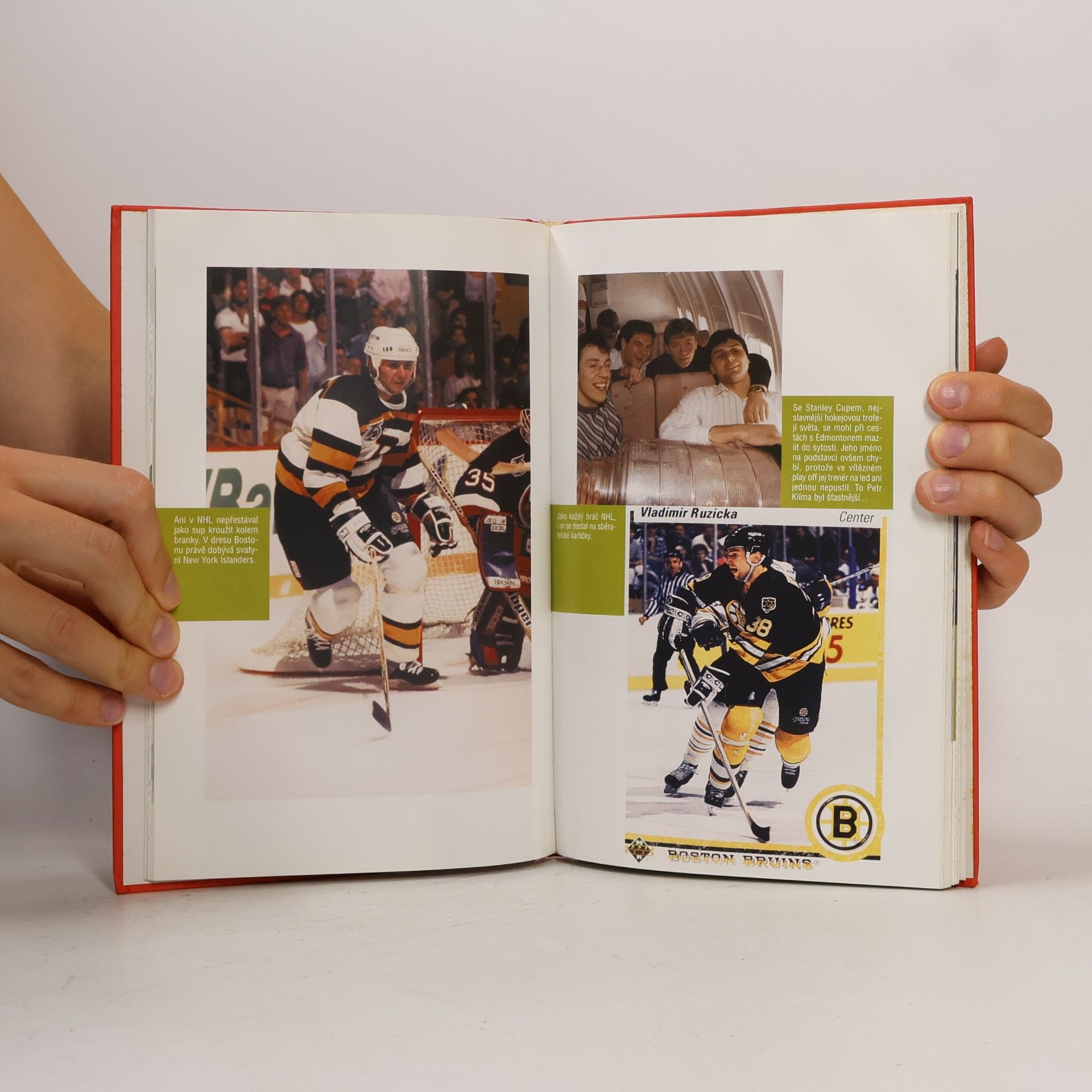 Vítězslav Zlatohlavý Vladimír Růžička: Czech ice hockey