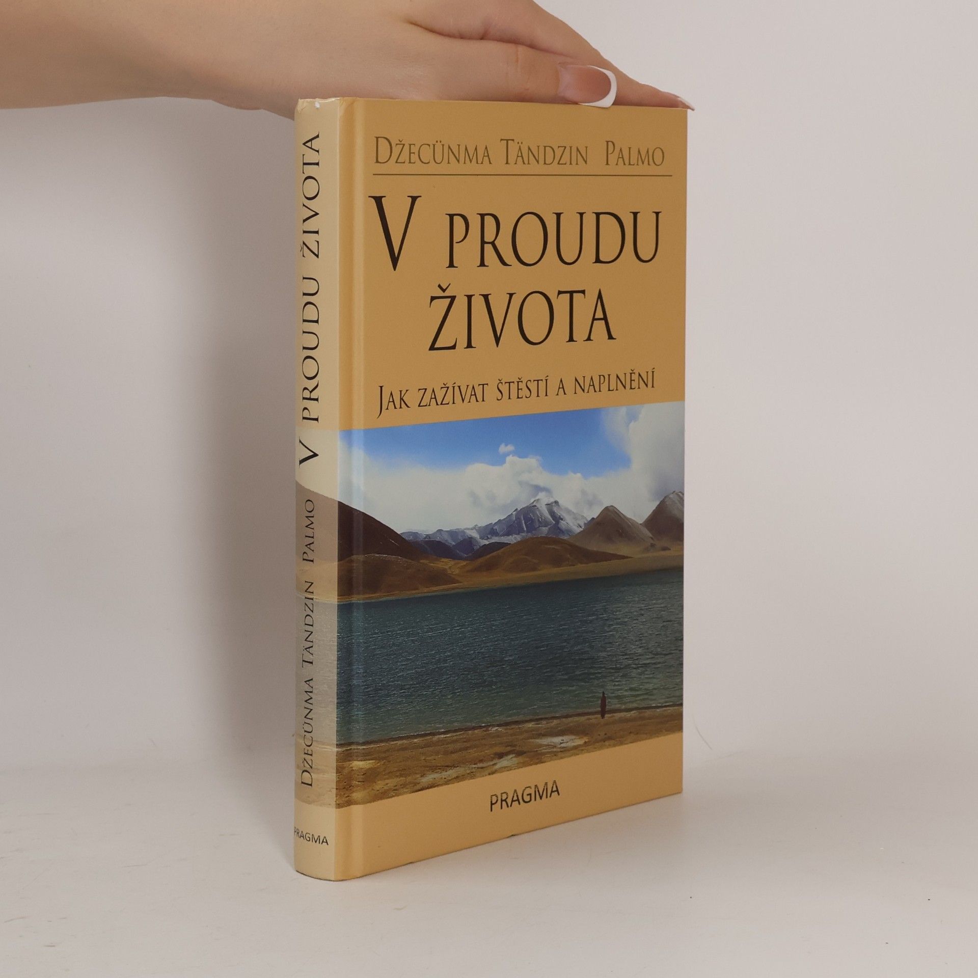 Palmo Tenzin V proudu života. Jak zažívat štěstí a naplnění
