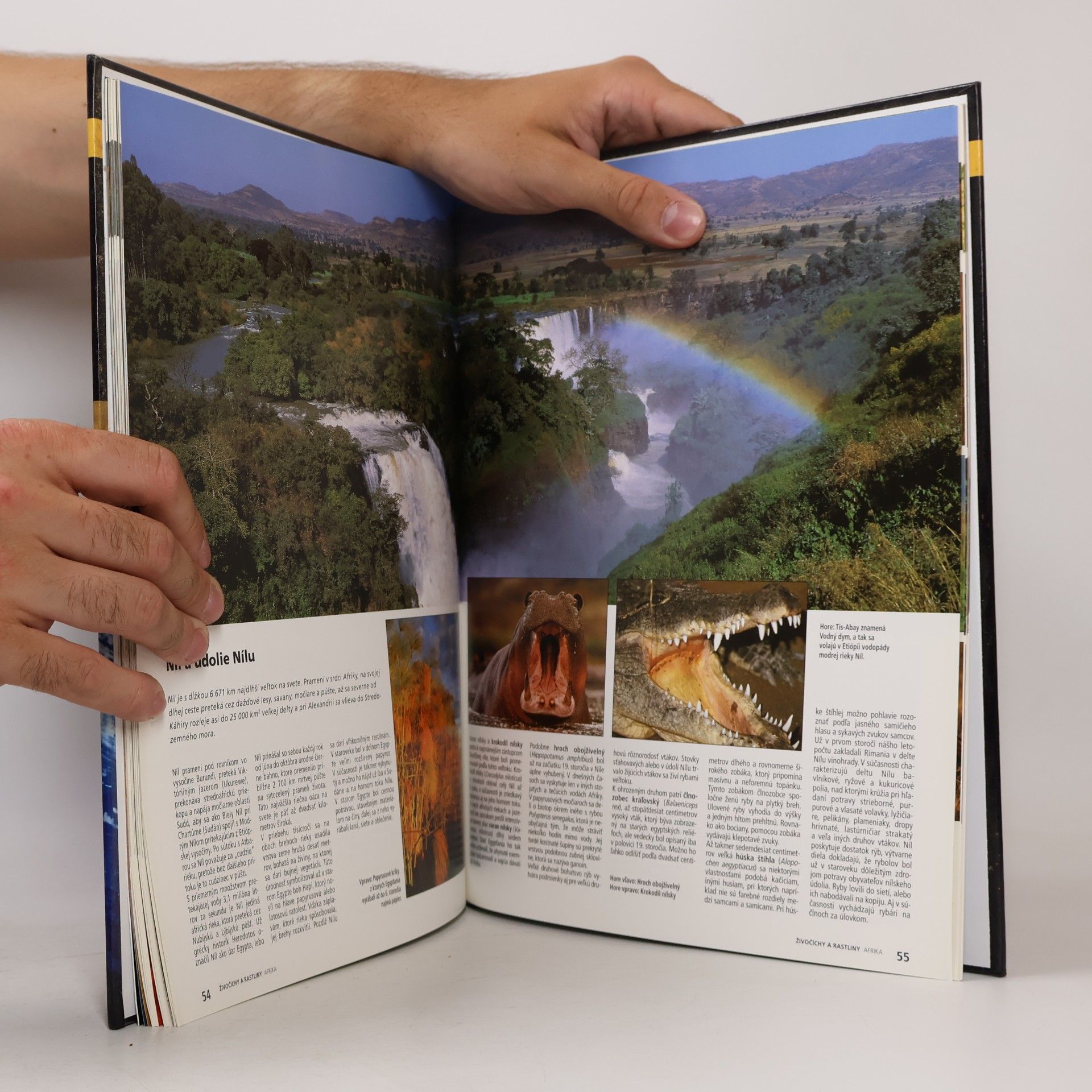 Autores varios Glóbus: Živočíchy a rastliny 2