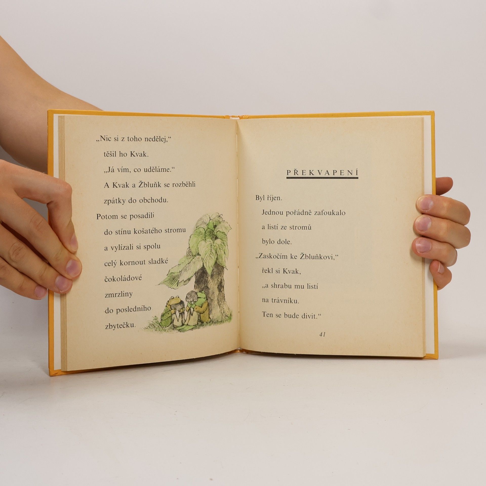 Arnold Lobel Kvak a Žbluňk od jara do Vánoc