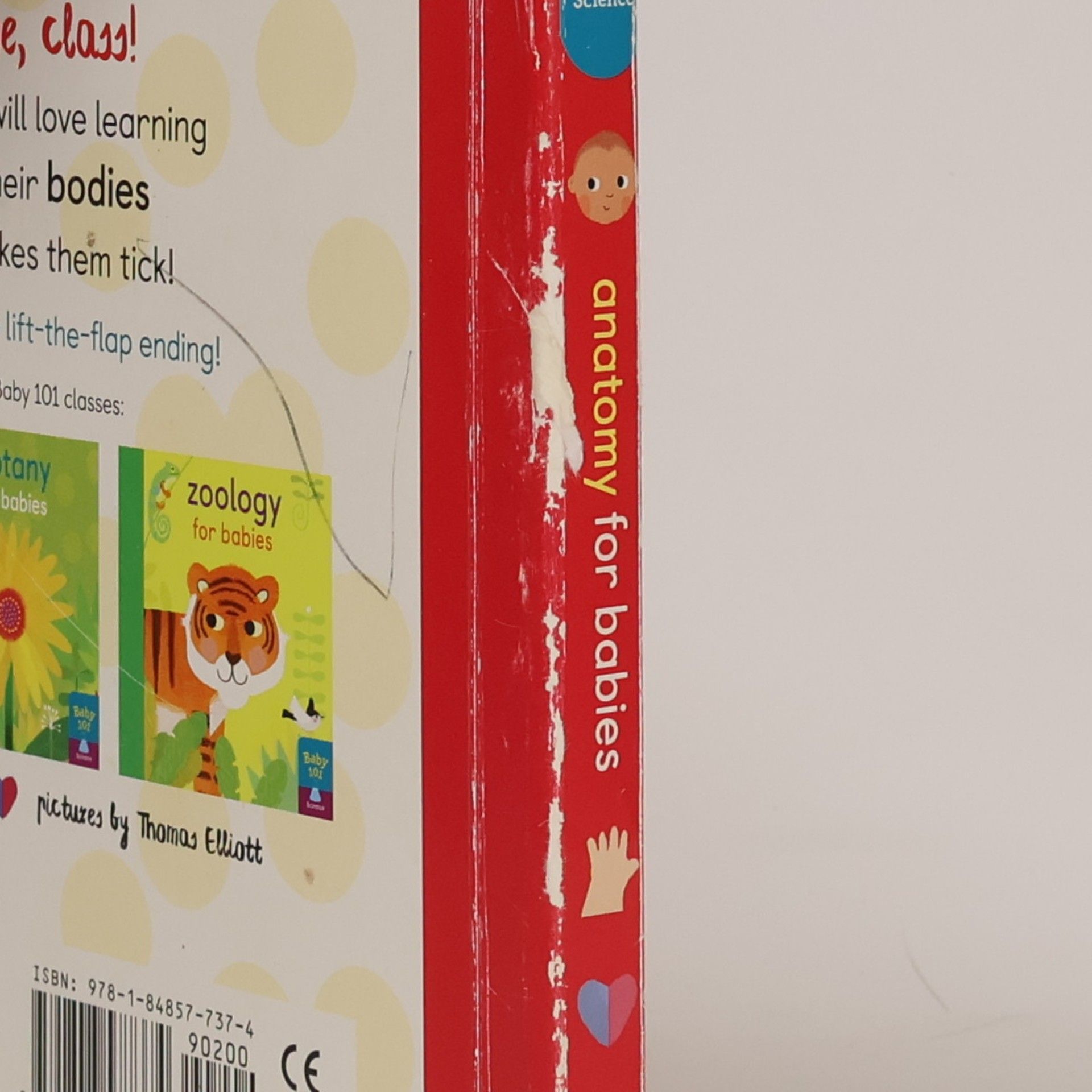 Jonathan Litton Anatomy for Babies