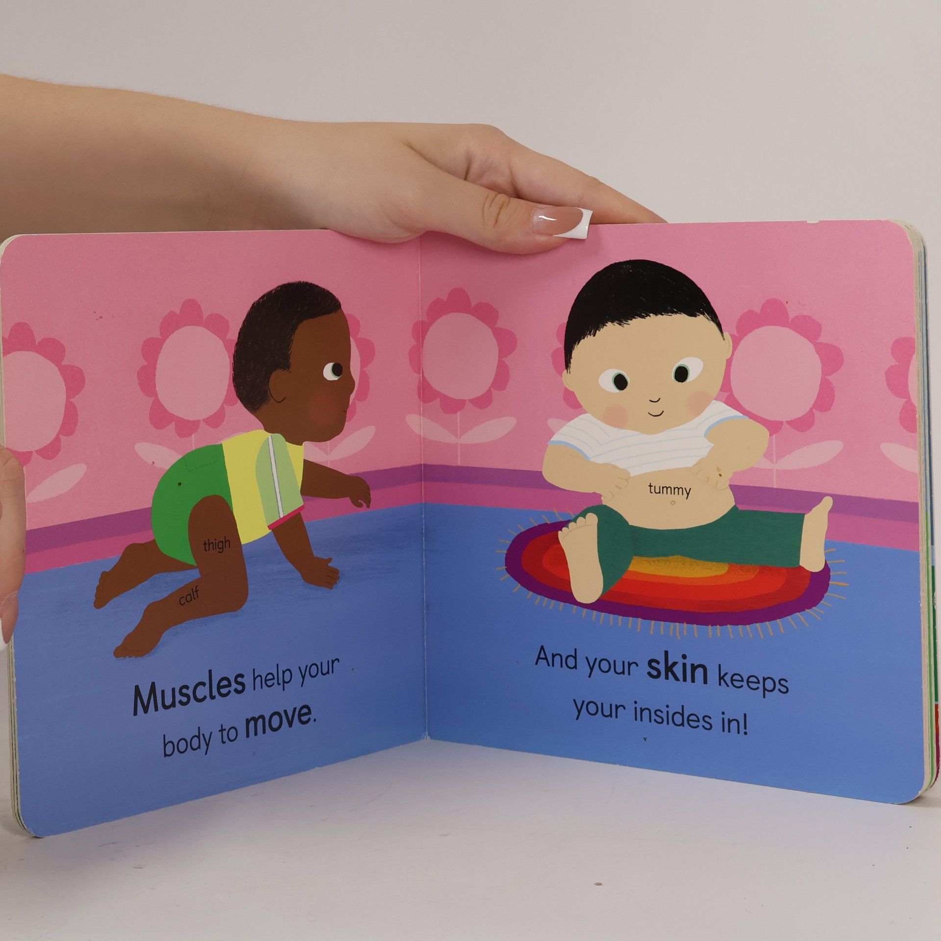 Jonathan Litton Anatomy for Babies