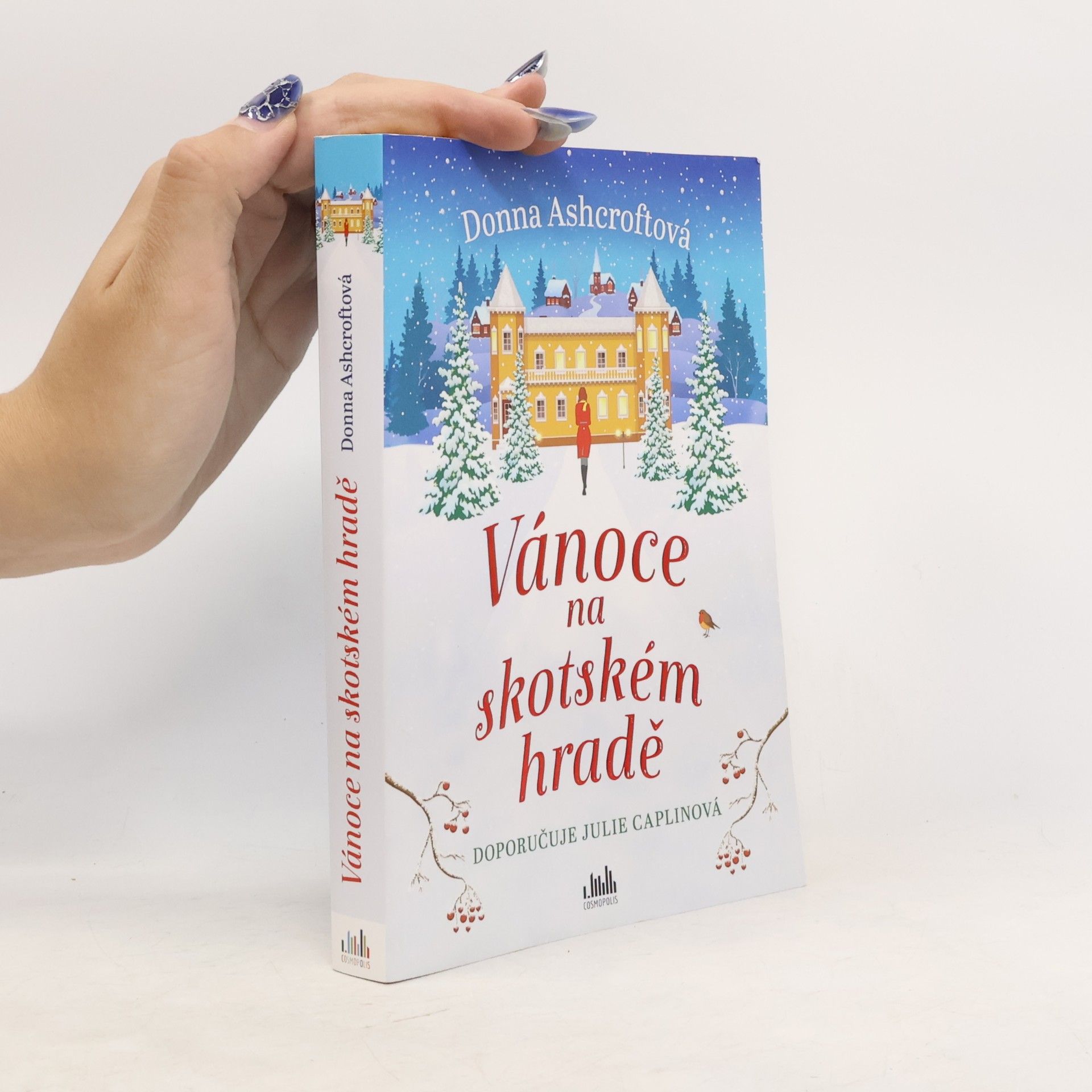 Donna Ashcroft Vánoce na skotském hradě