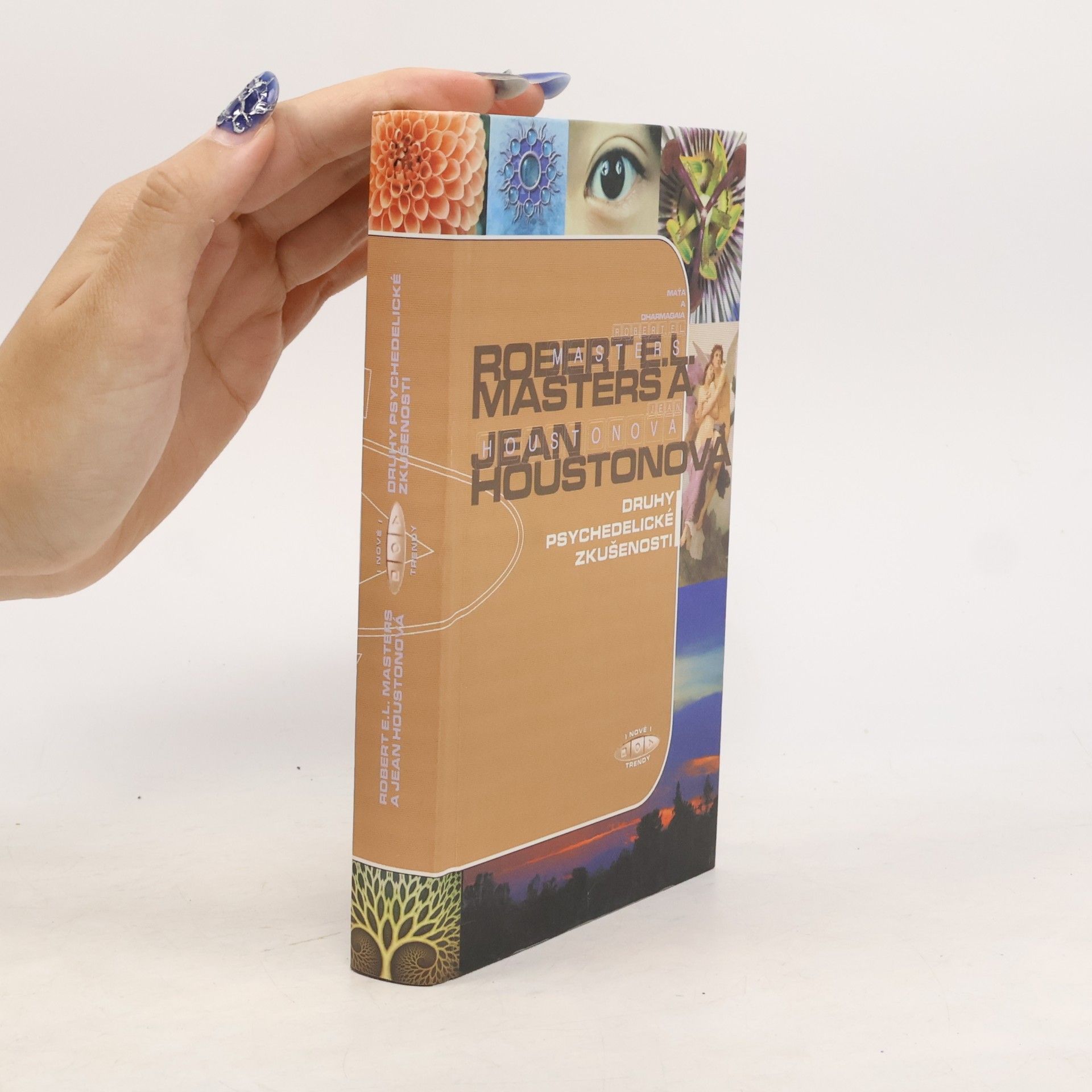 Joan Houston Druhy psychedelické zkušenosti: klasický průvodce účinky LSD na lidskou psychiku