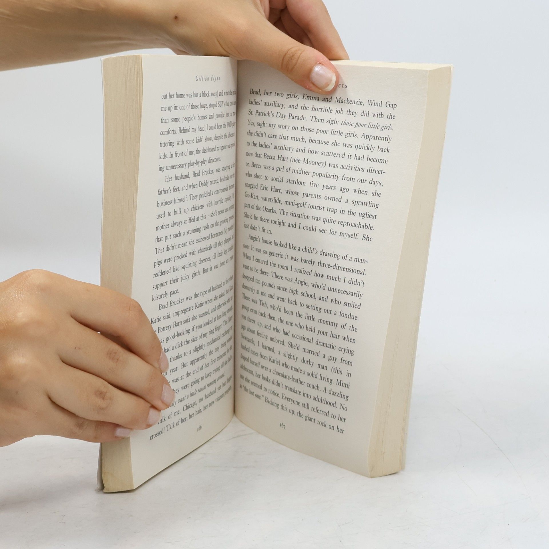 Gillian Flynn Sharp objects