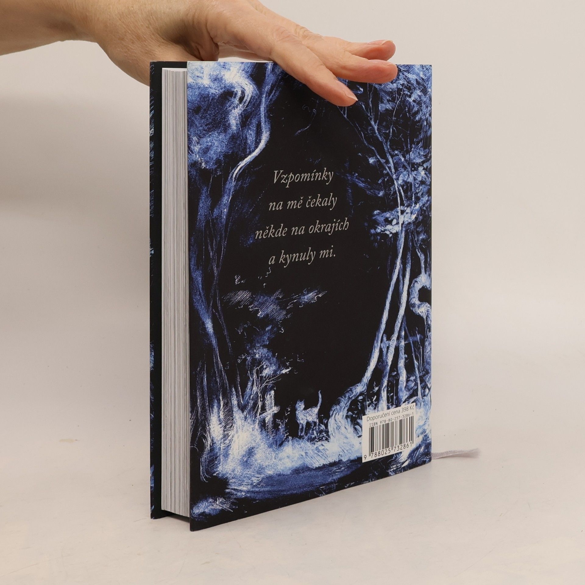 Neil Gaiman Oceán na konci cesty