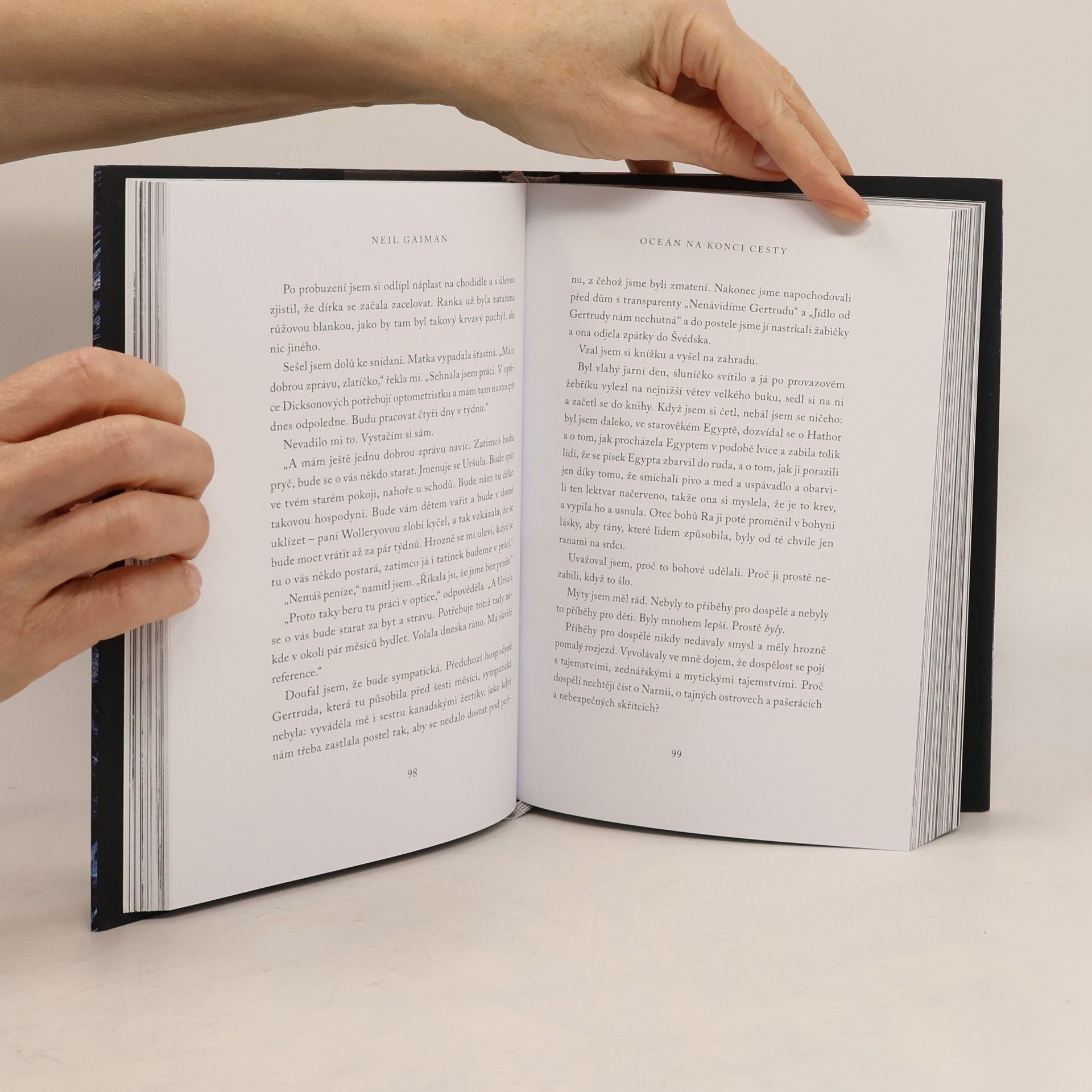 Neil Gaiman Oceán na konci cesty