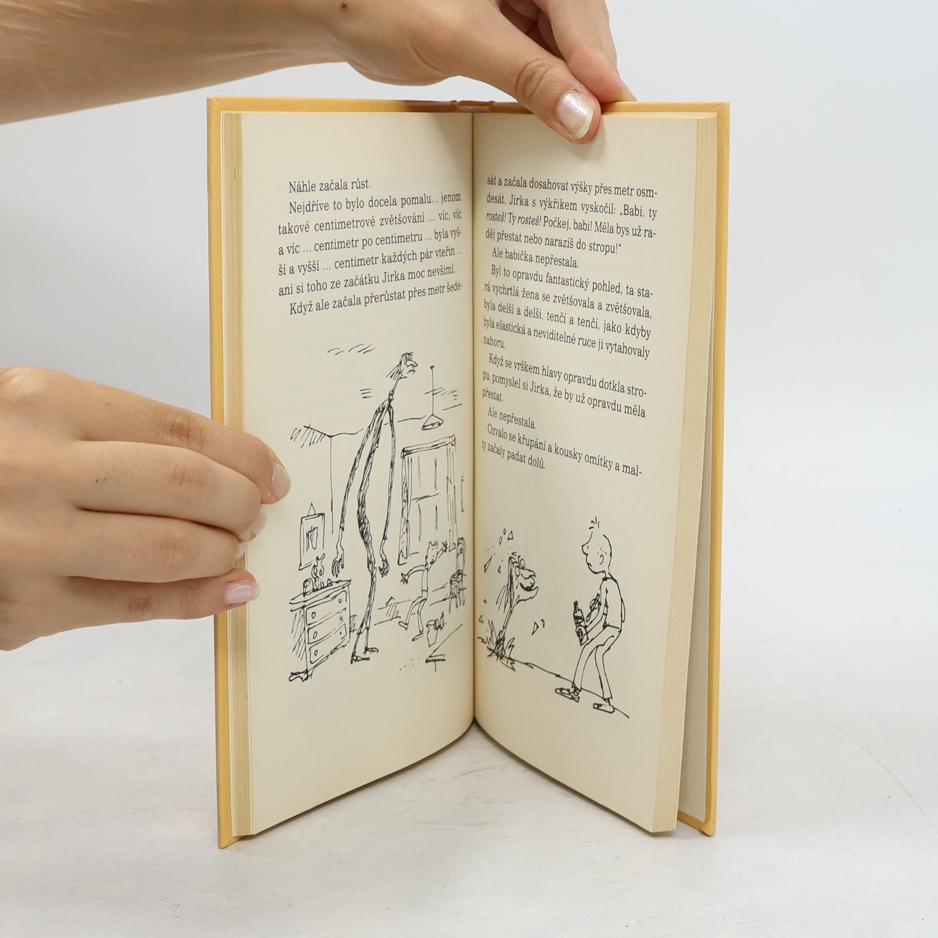 Roald Dahl Jirkova zázračná medicína