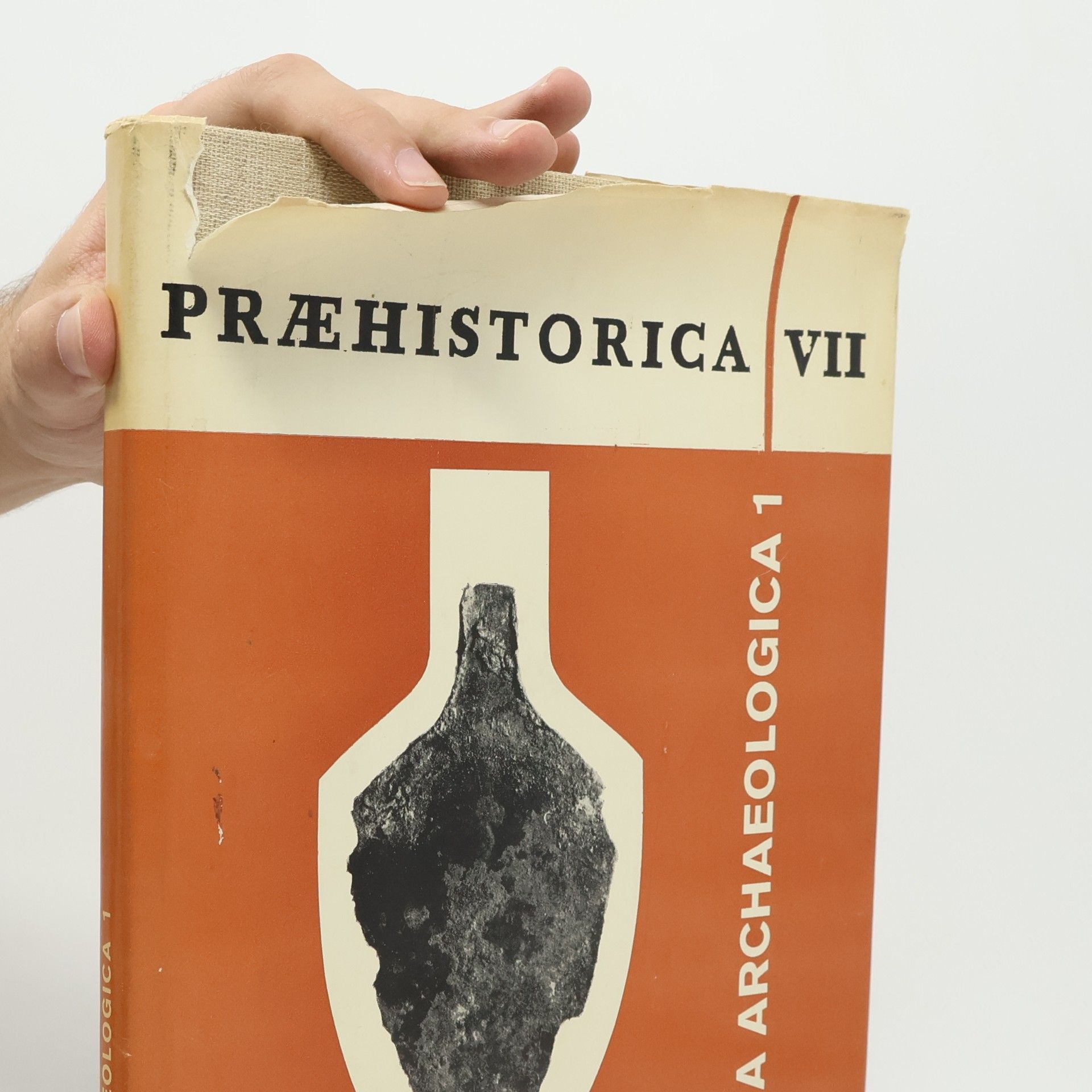 Autorenkollektiv Praehistorica VII: Varia archaeologica 1