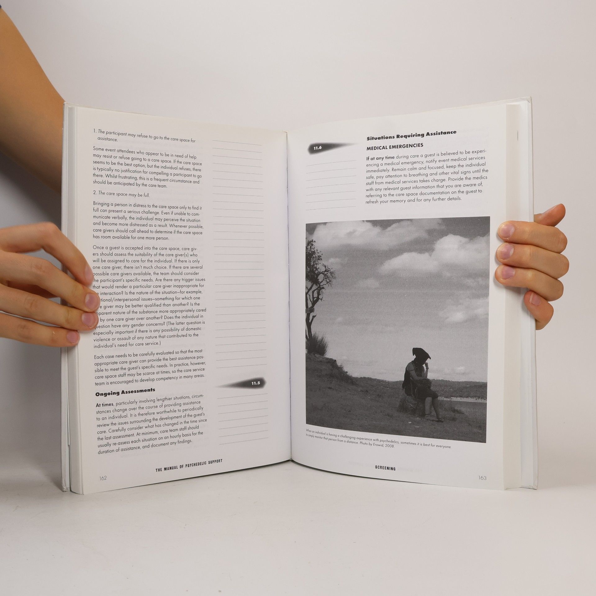 Alexandre Quaranta The Manual of Psychedelic Support