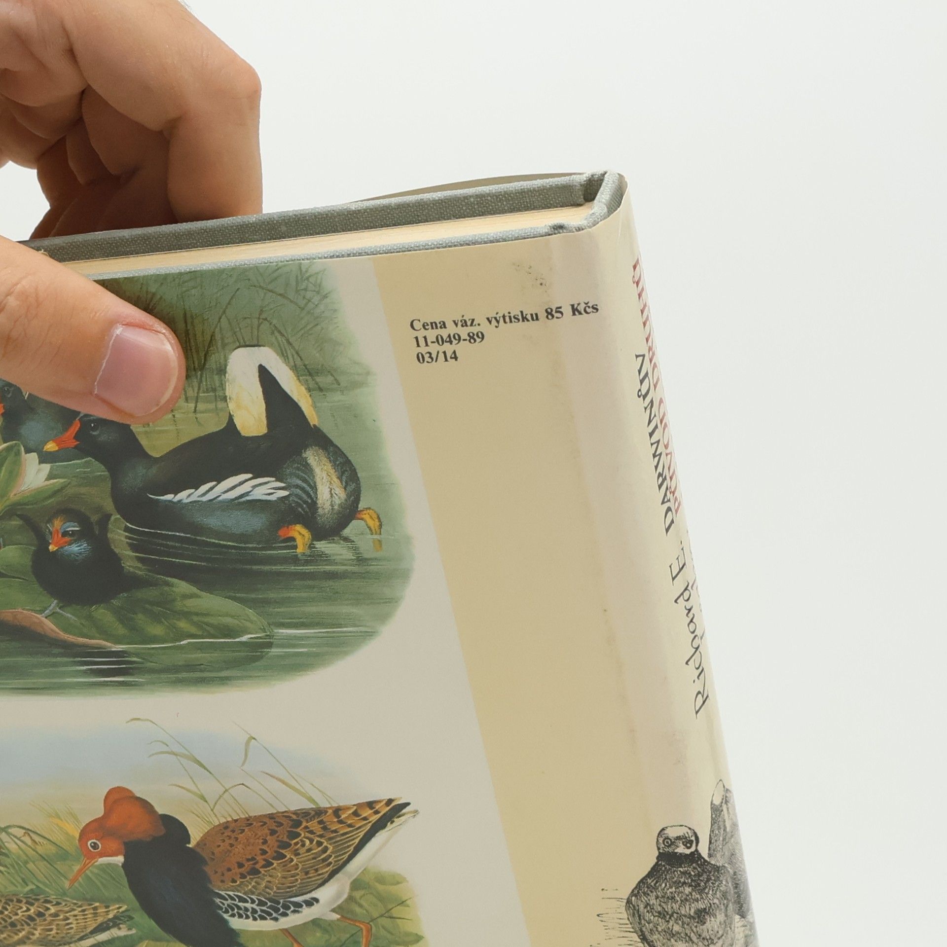 Charles Darwin Darwinův původ druhů v ilustracích