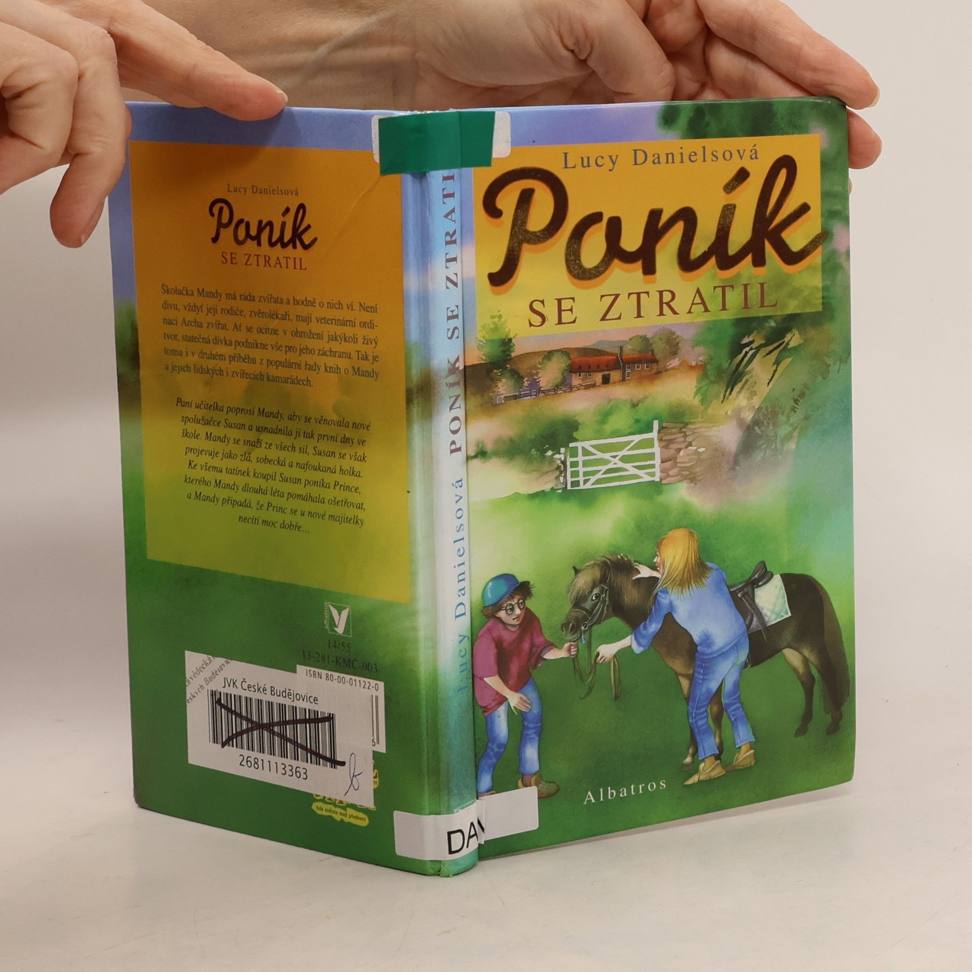 Lucy Daniels Poník se ztratil