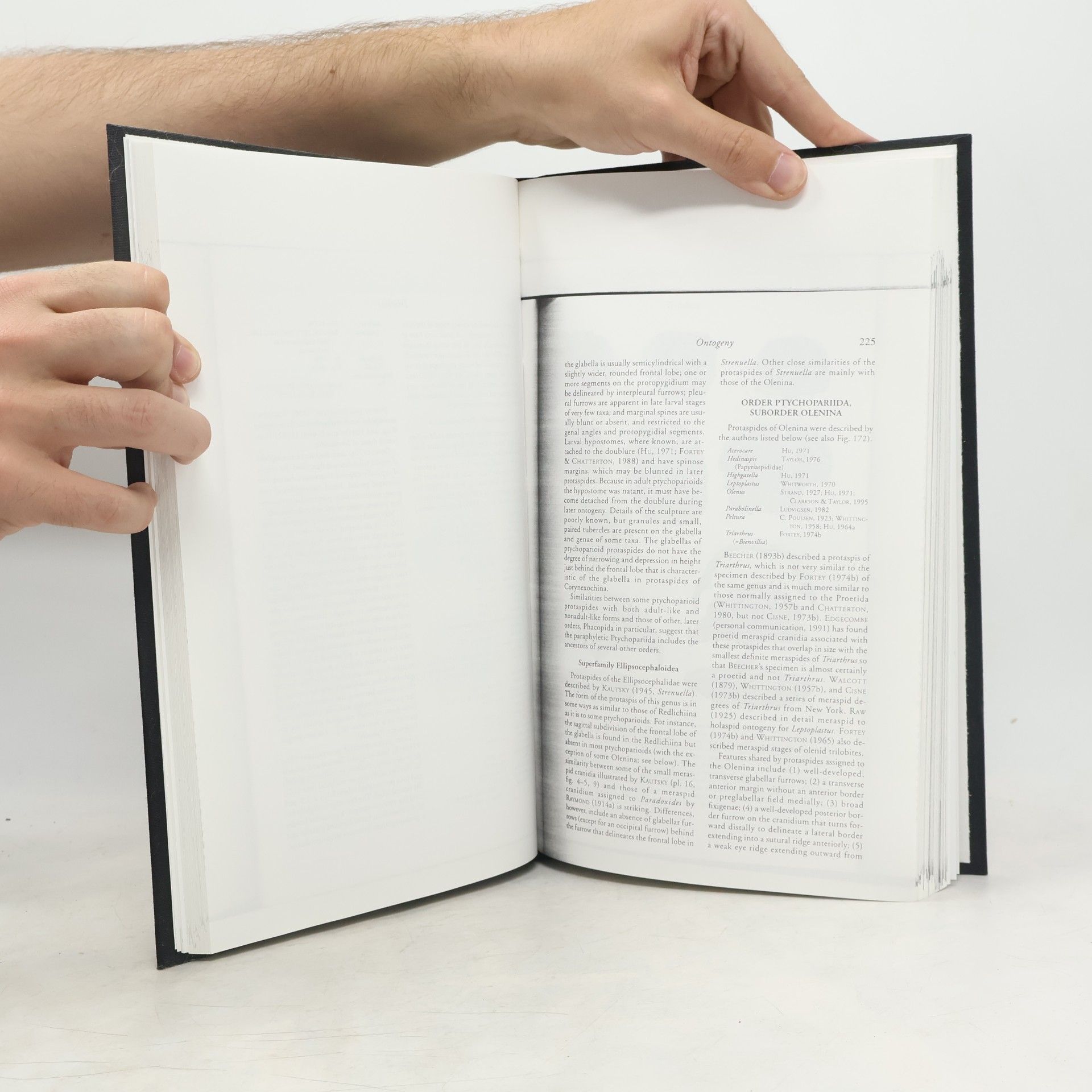 Various authors Treatise on Invertebrate Paleontology