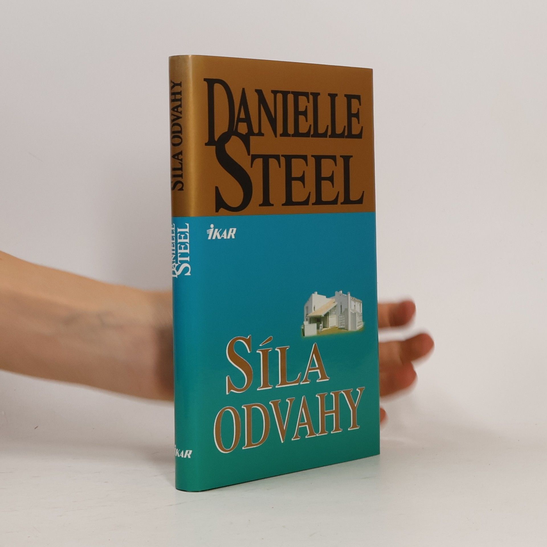 Danielle Steel Síla odvahy