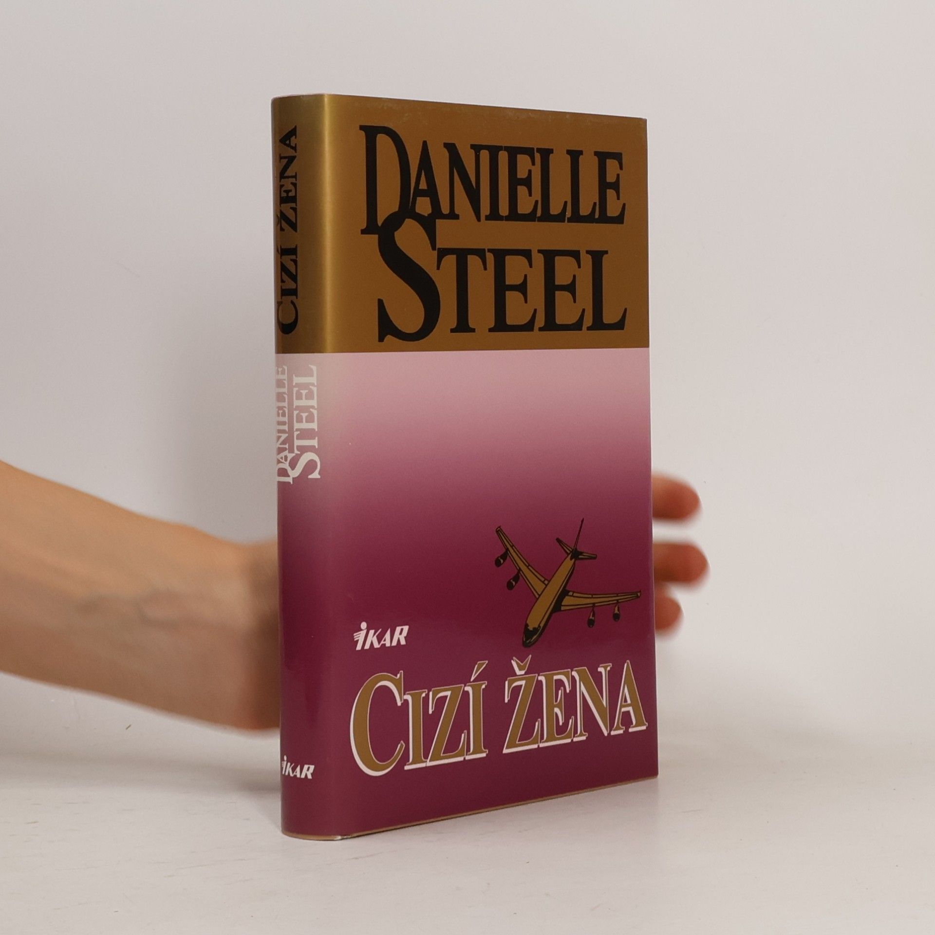 Danielle Steel Cizí žena