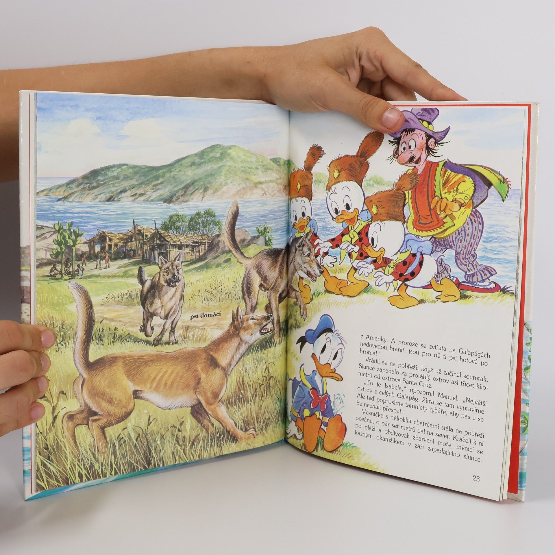 Walt Disney Království leguánů