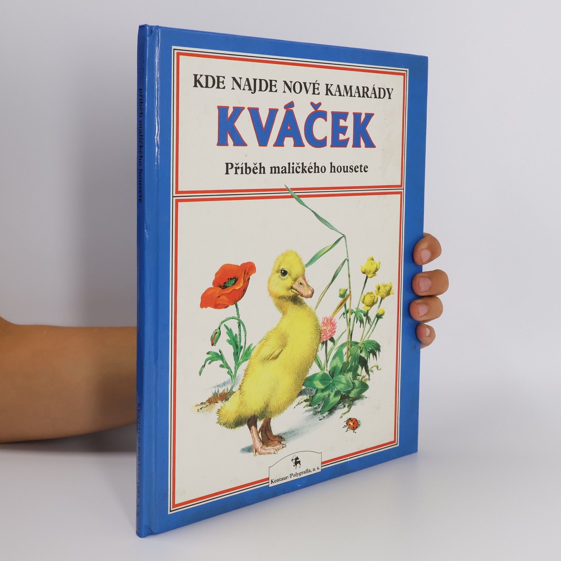 Peter Holeinone Kváček : příběh maličkého housete