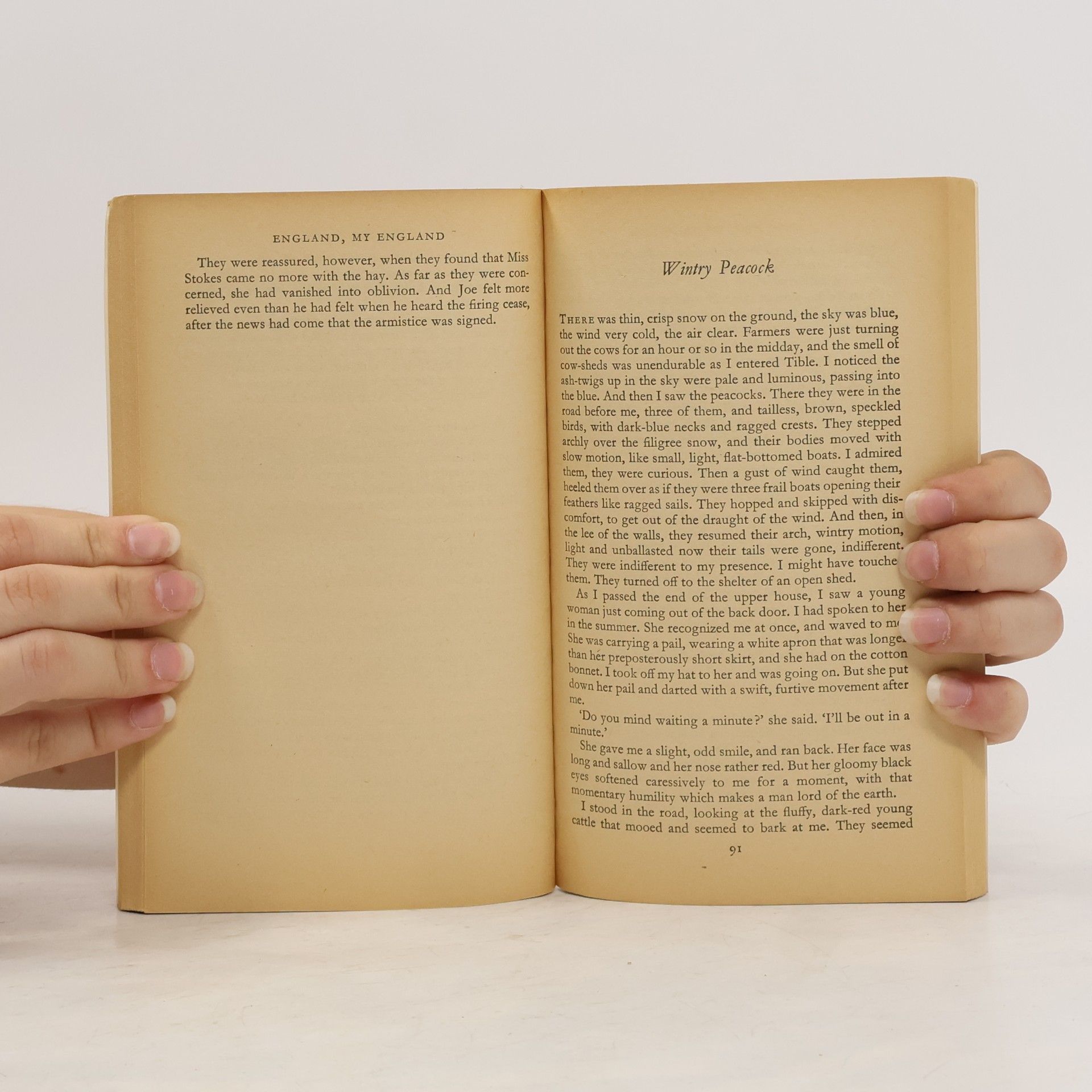 D. H. Lawrence England, My England