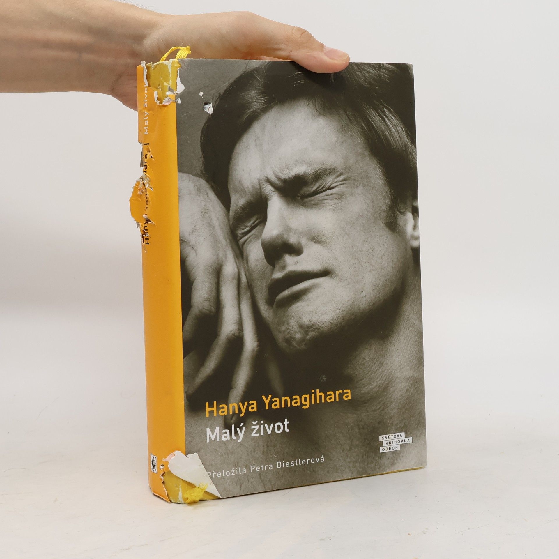 Hanya Yanagihara Malý život