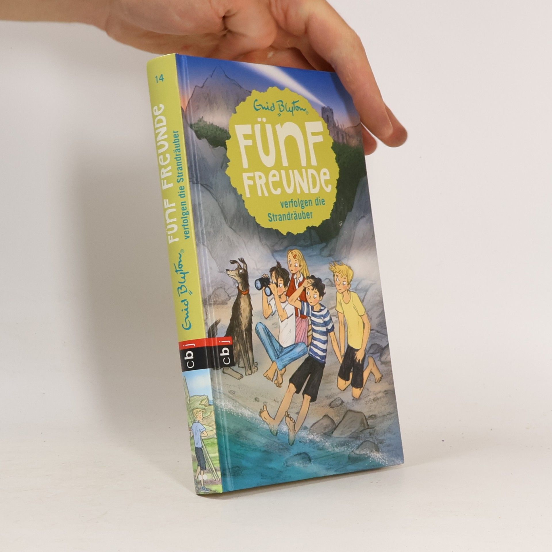Enid Blyton Fünf Freunde verfolgen die Strandräuber